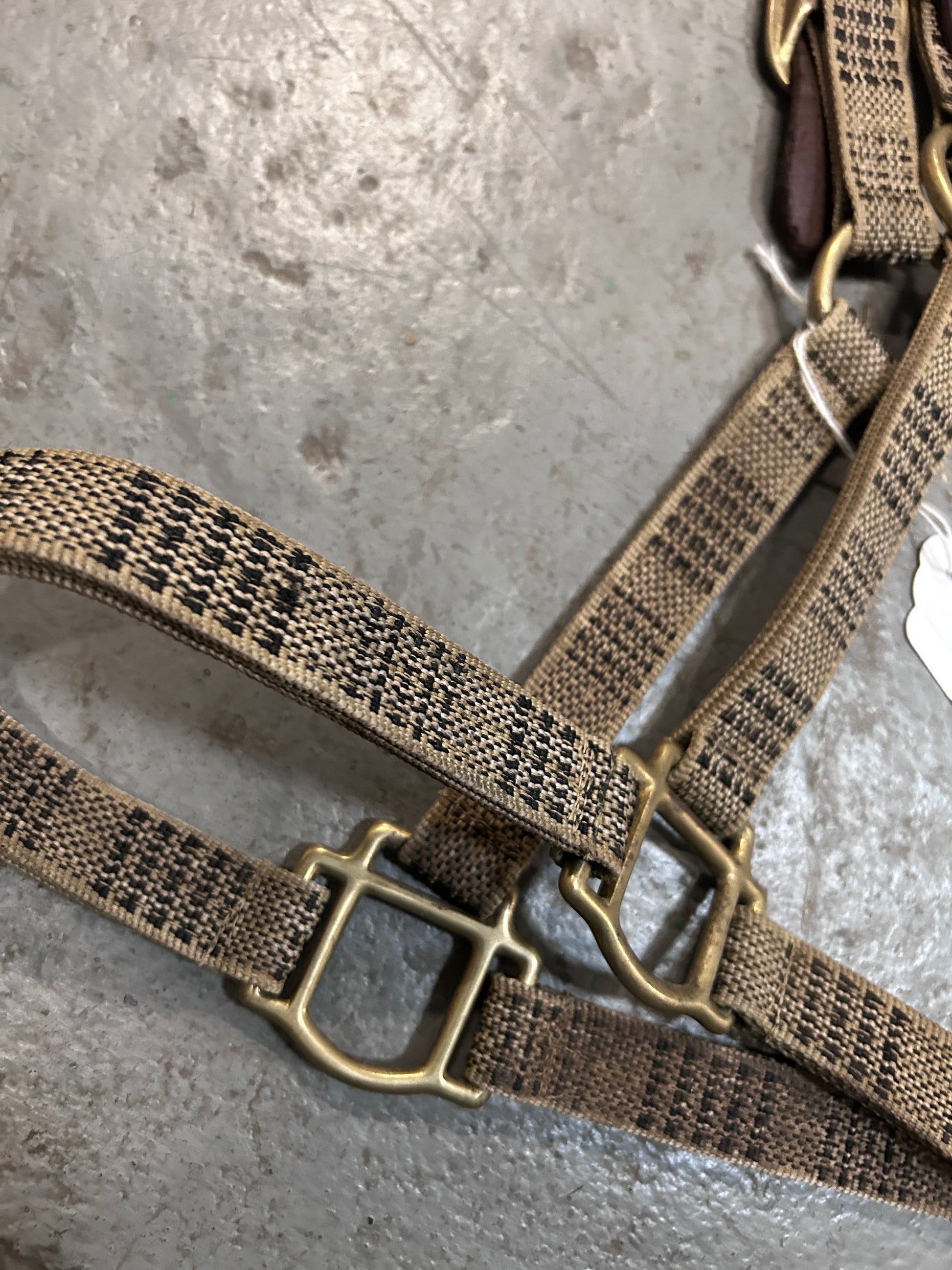 5A Baker Breakaway Halter-Halter-Consignment-Evolution Equestrian Co.