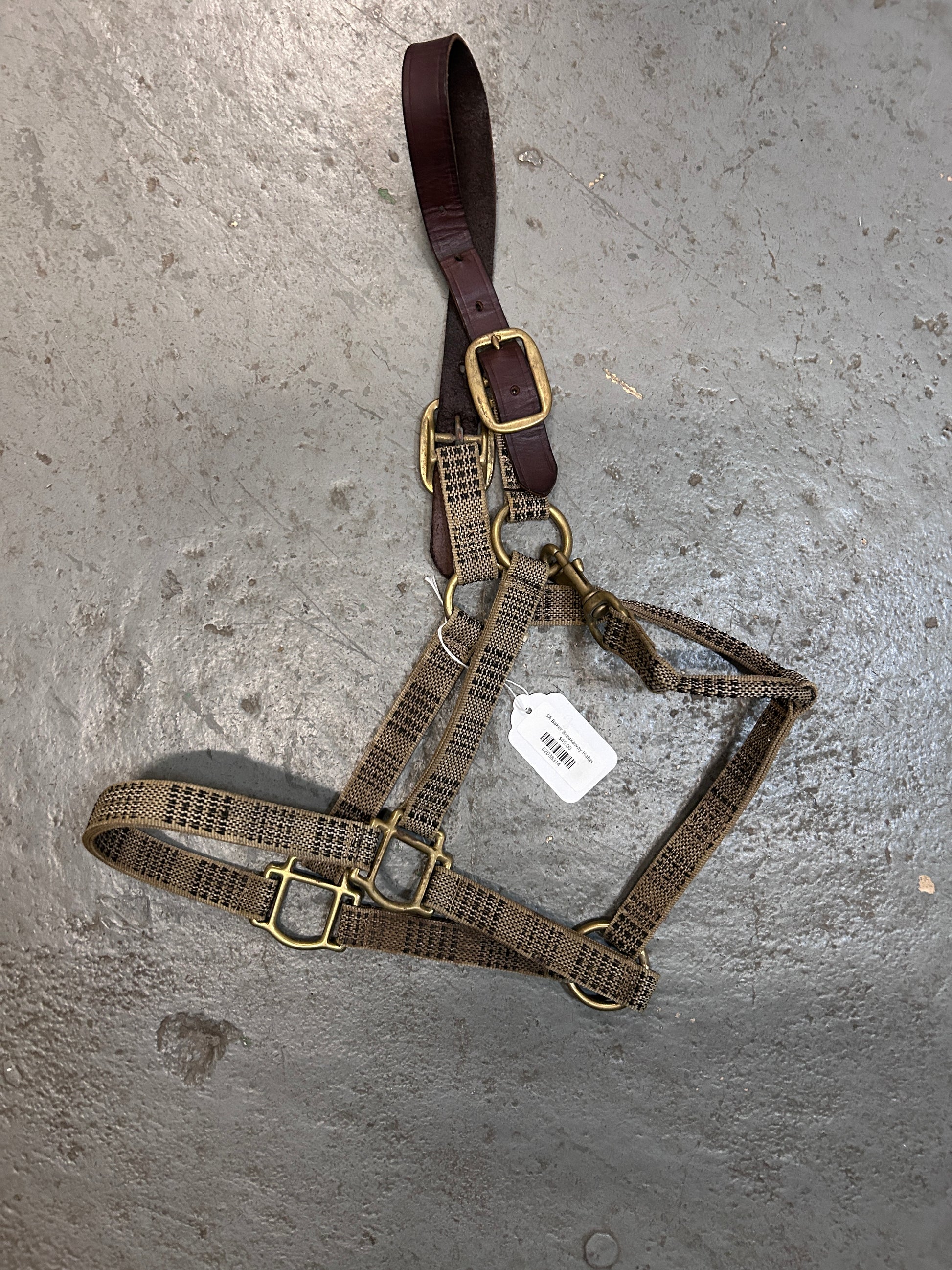 5A Baker Breakaway Halter-Halter-Consignment-Evolution Equestrian Co.