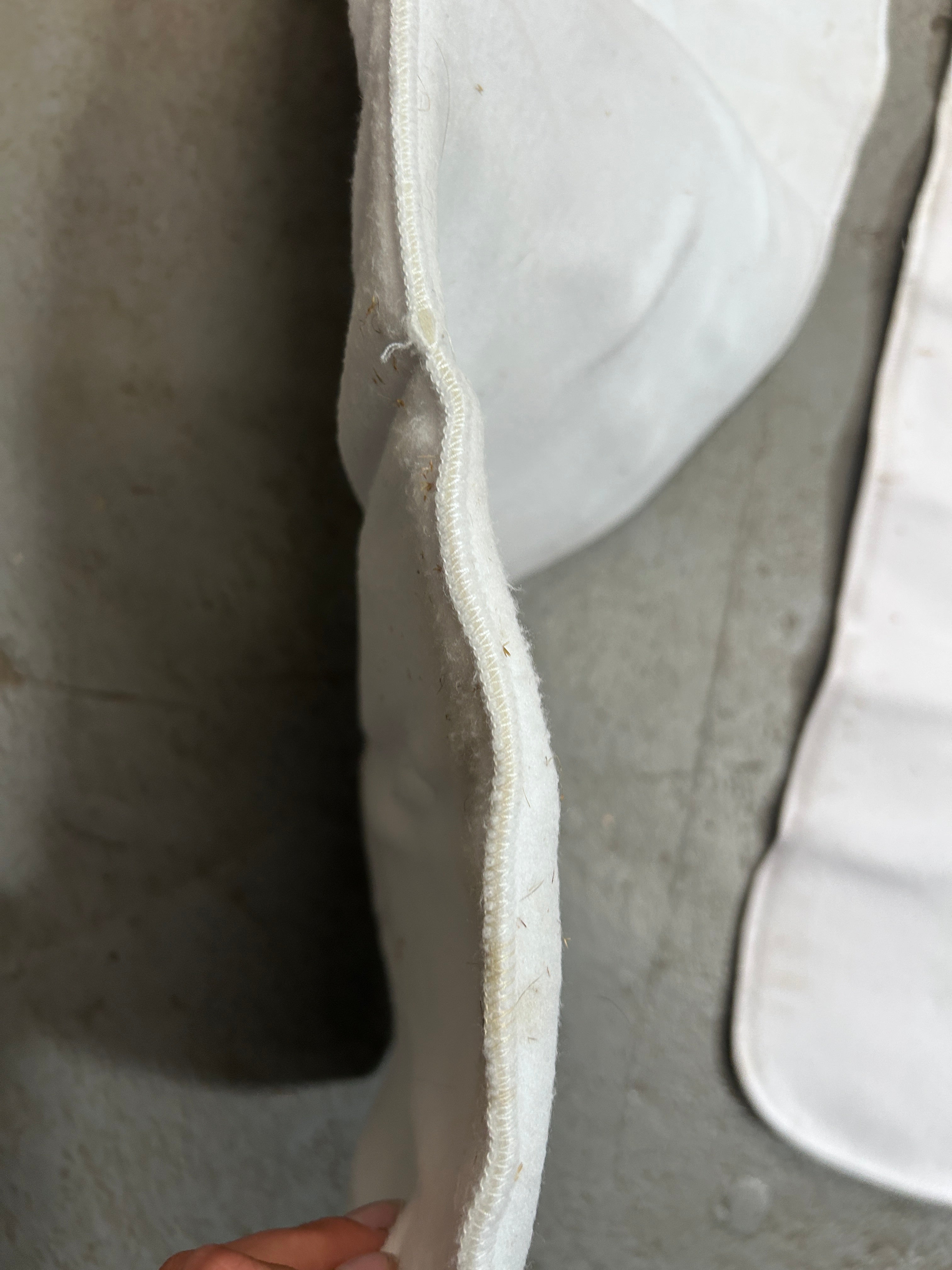 Equi-Essentials No Bow Wraps 12"