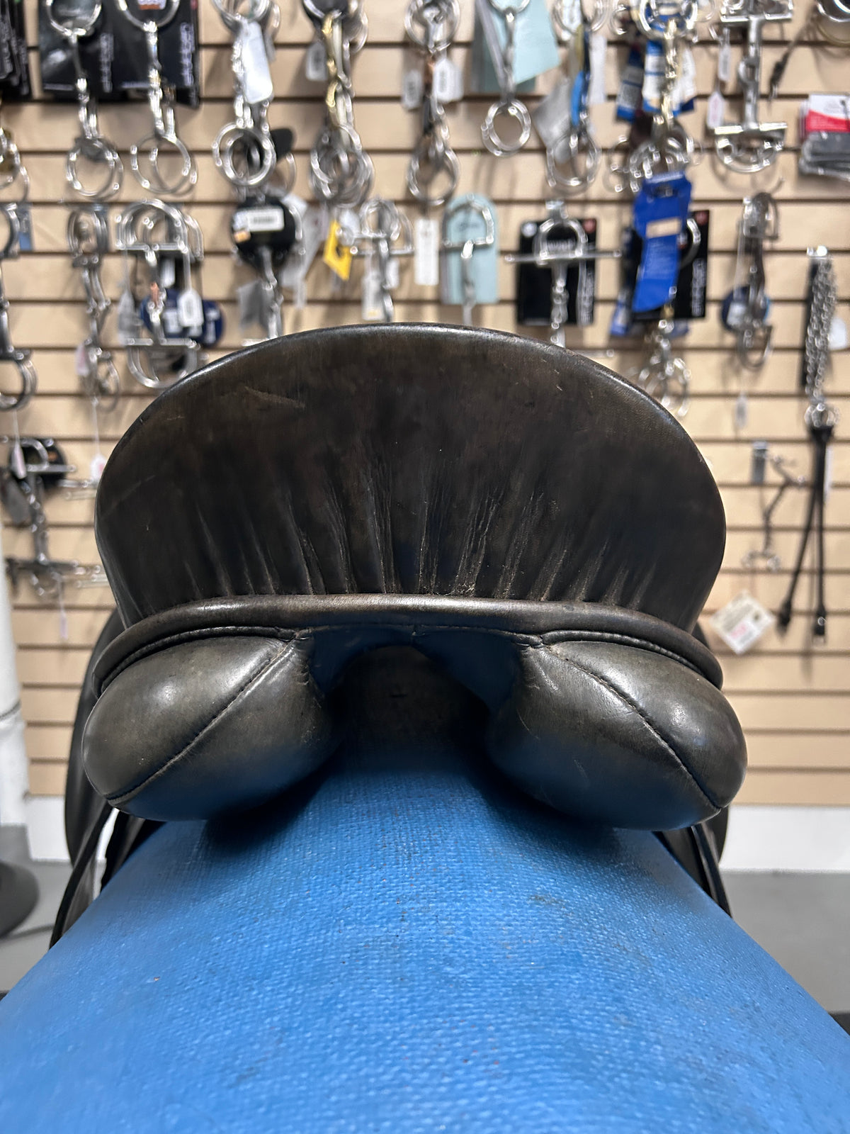 16.5" Regal Dressage Saddle