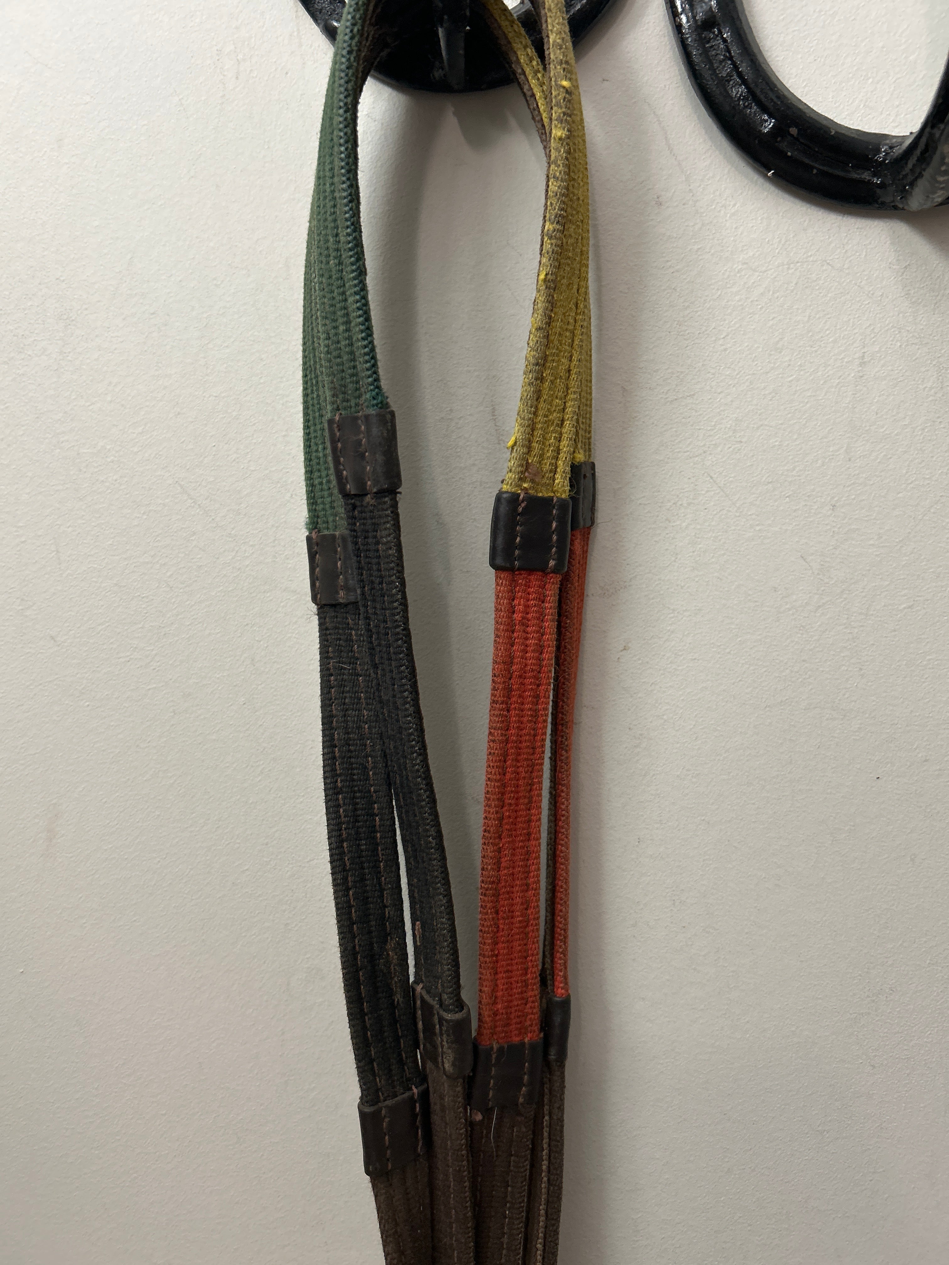 Coloured Webbed Reins