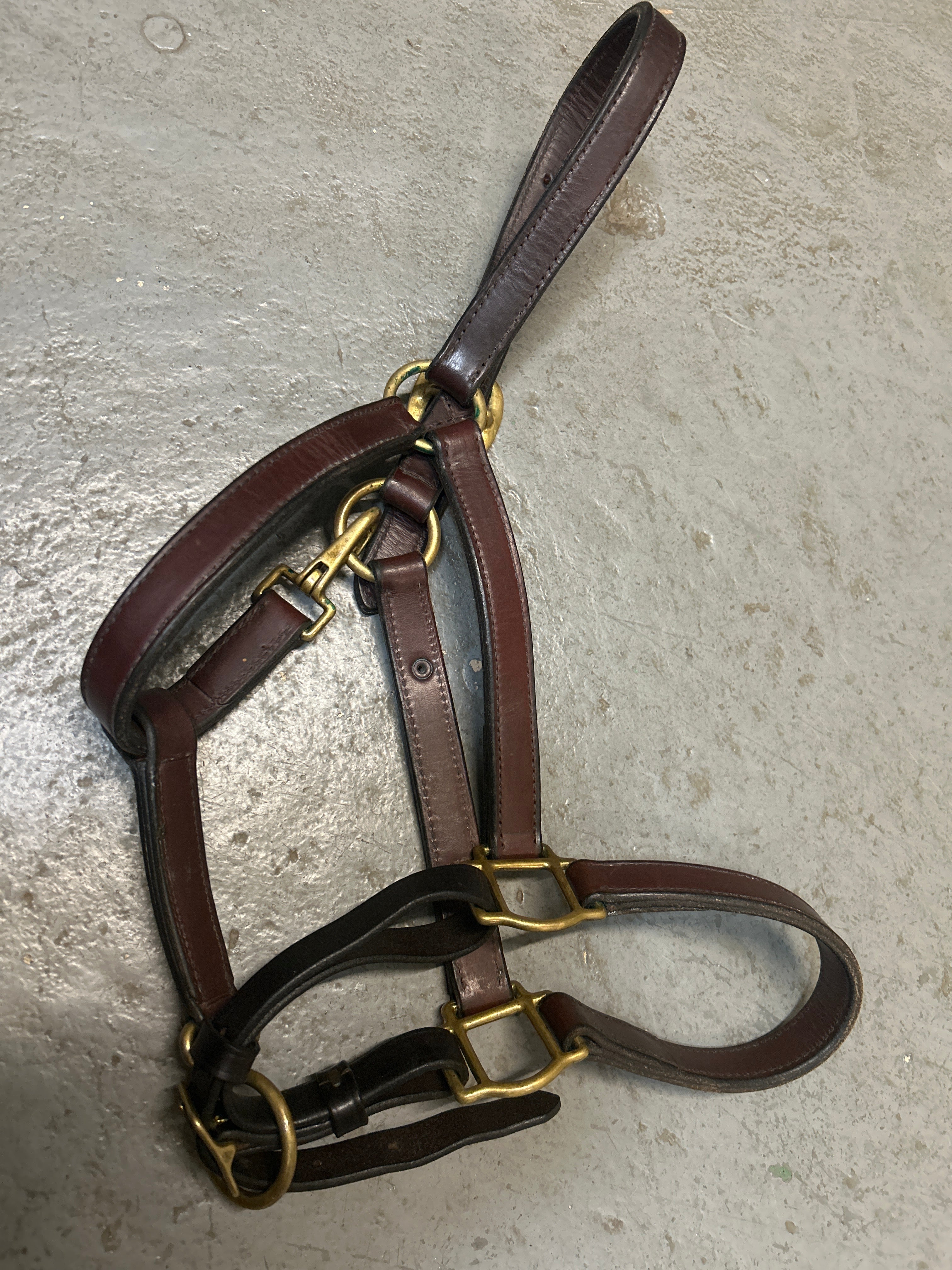 Tory Leather Halter