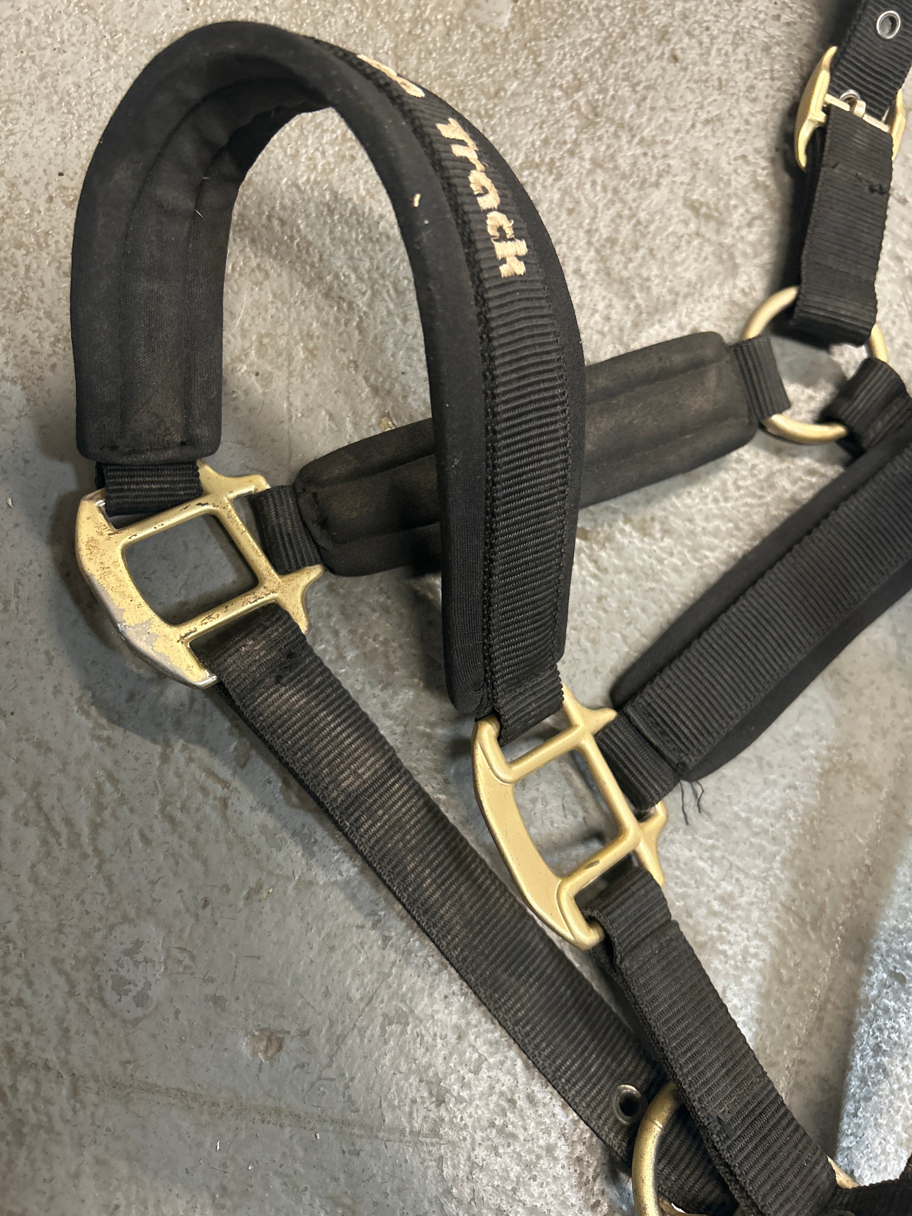 Back on Track Halter Full