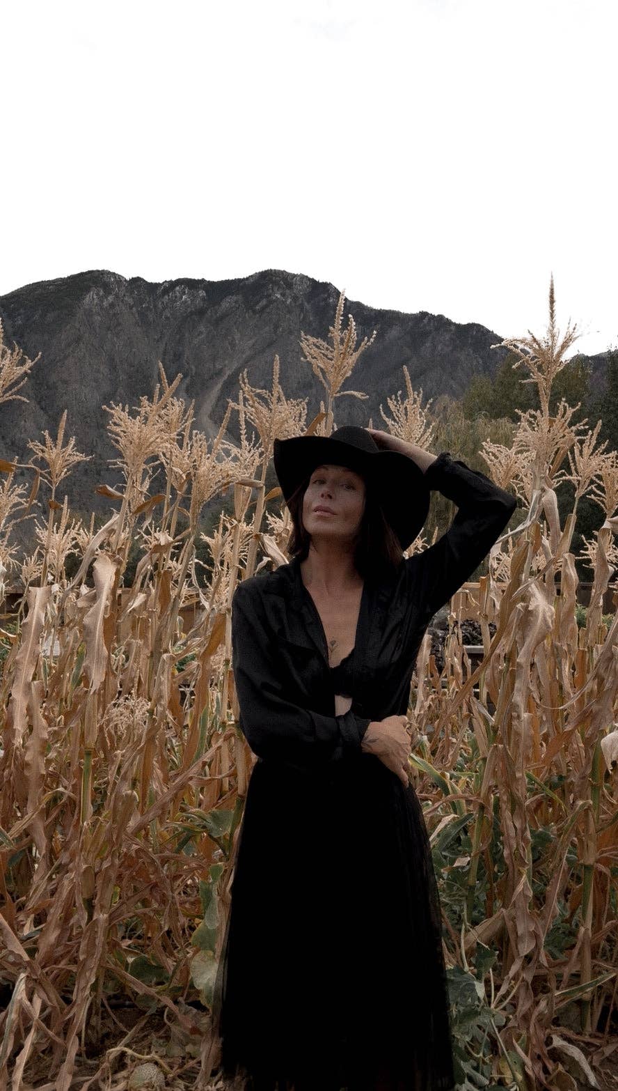 WEST VON - Laney | Western Rancher | Noir: M/L-WEST VON-Evolution Equestrian Co.