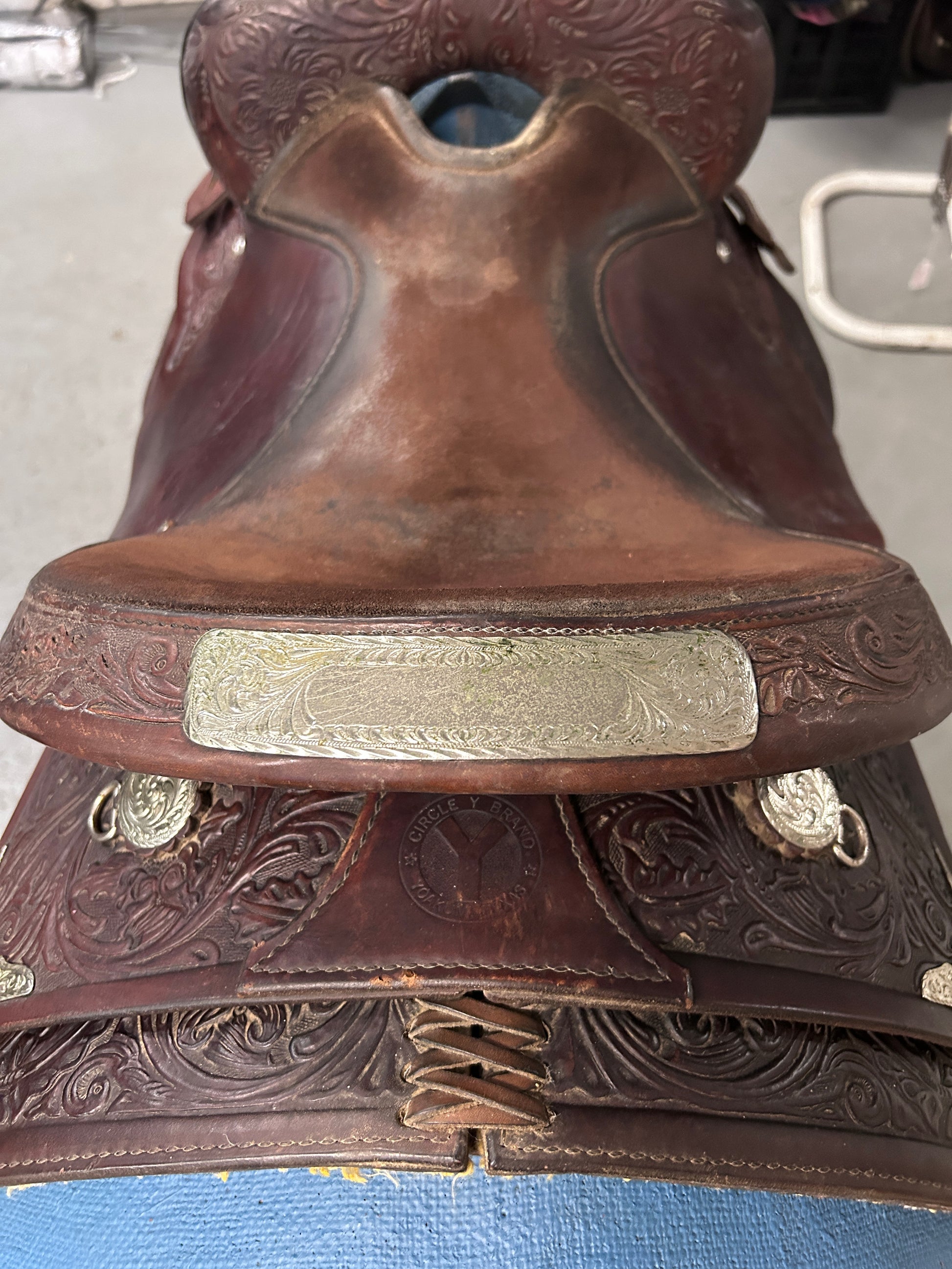 15" Circle Y Equitation Western Saddle-Saddle-Consignment-Evolution Equestrian Co.