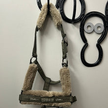Load image into Gallery viewer, Eskdaron Pony Halter with Matching Lead
