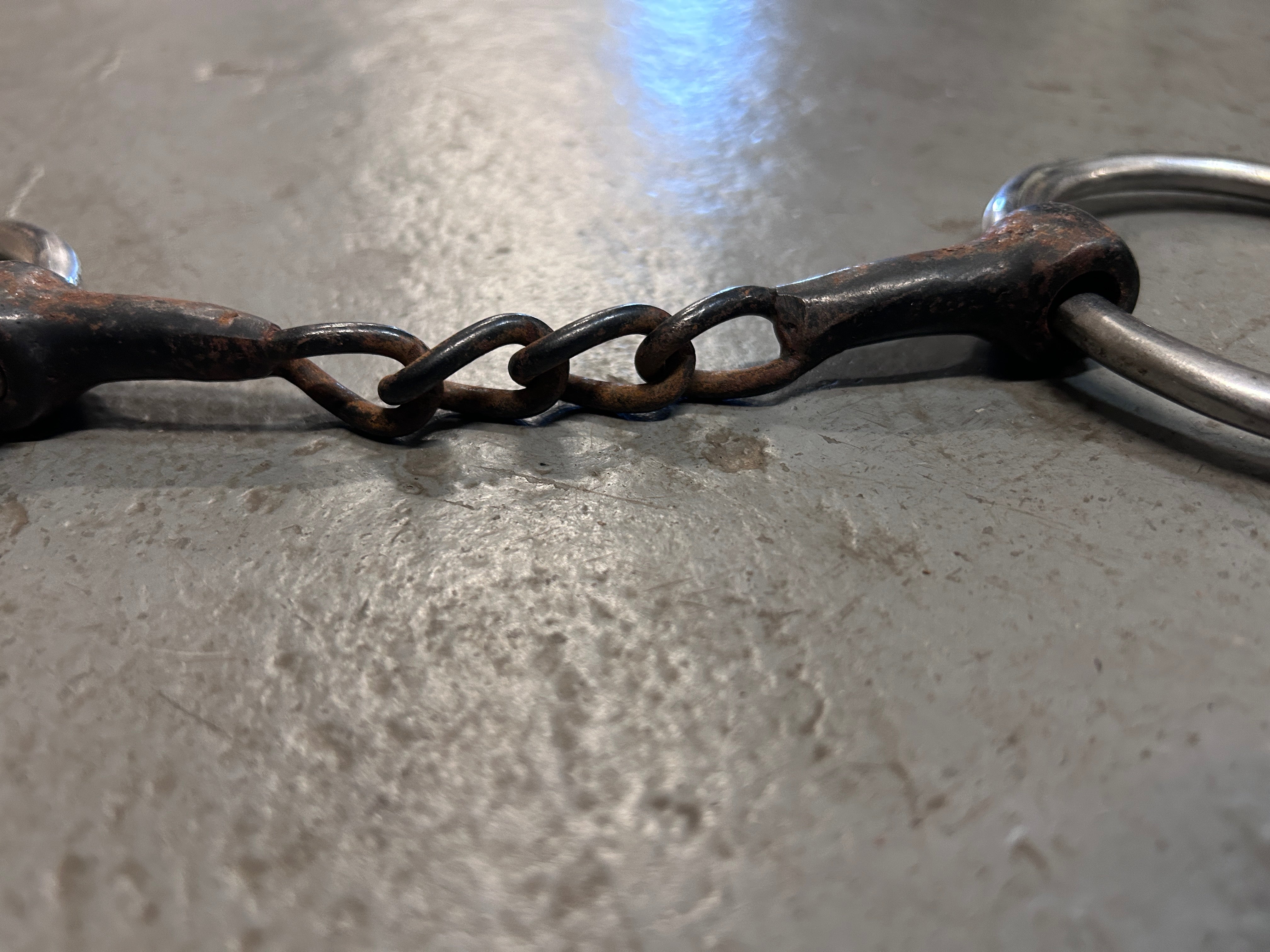 Loose Ring Snaffle with Chain Links 5"