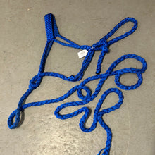 Load image into Gallery viewer, Blue Mule Tape Halter with Lead
