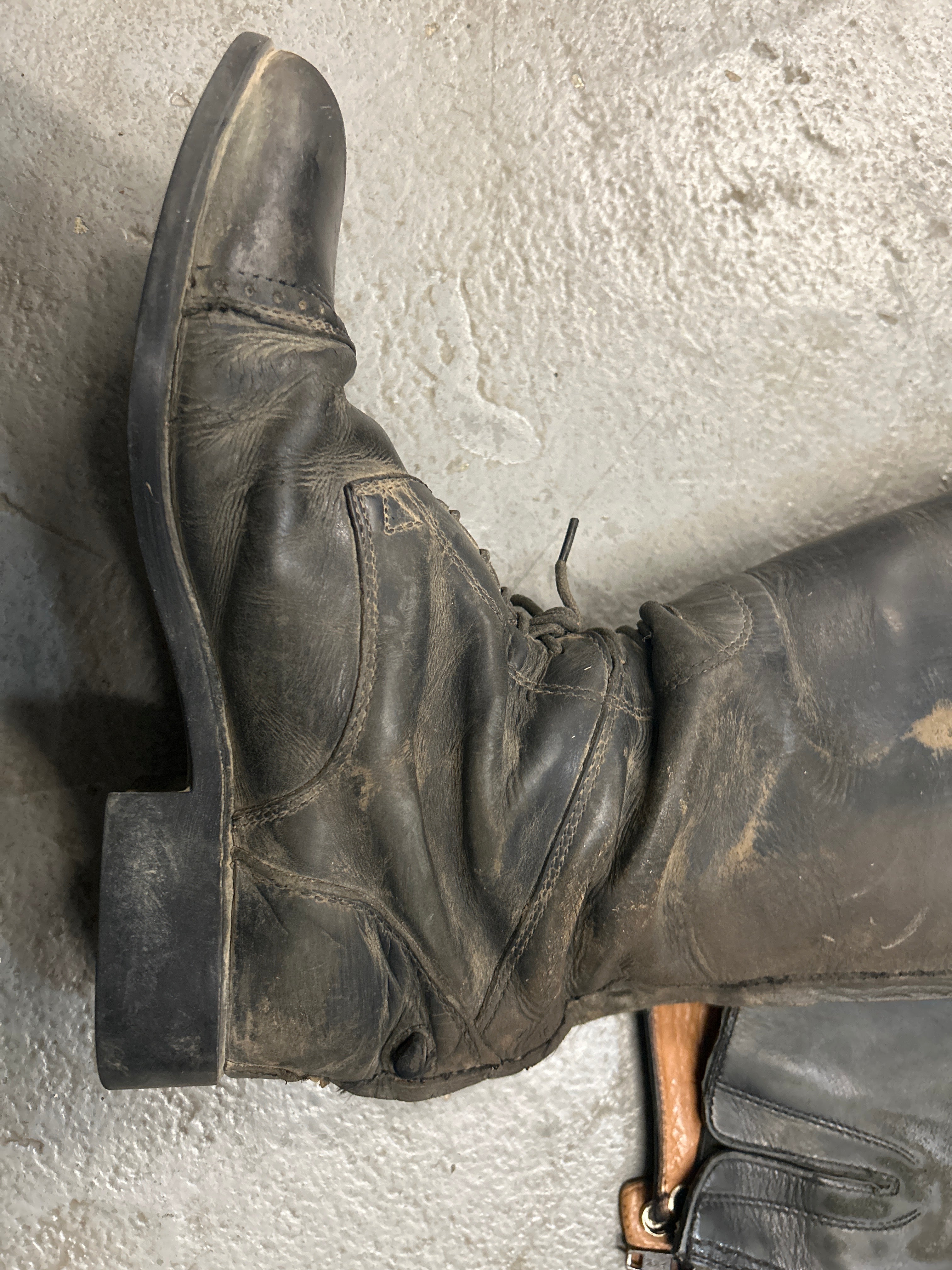 Ariat Field Boots 8 Reg/Tall