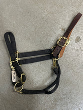 Load image into Gallery viewer, Weaver Large Horse Halter with Leather Crown
