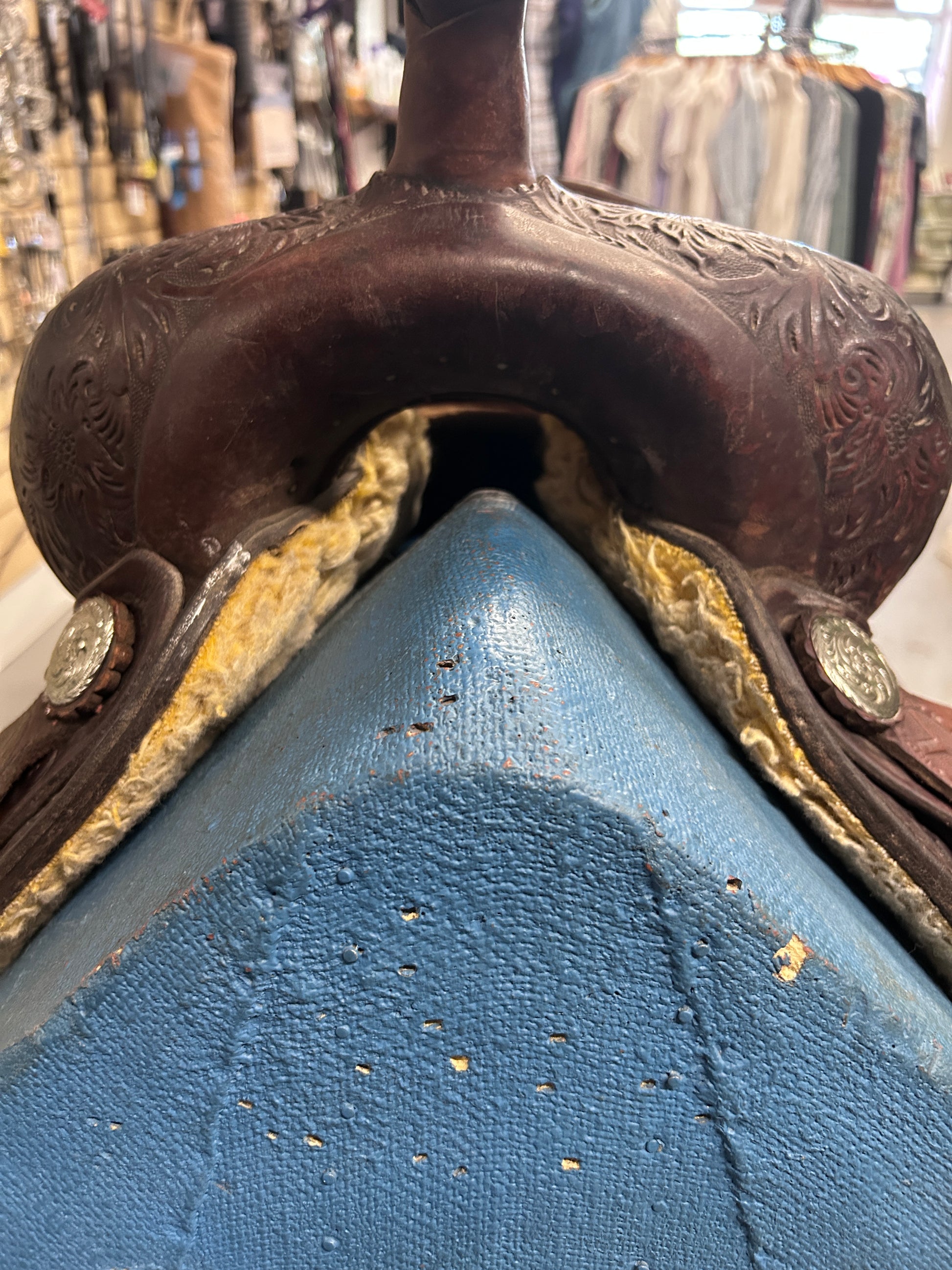 15" Circle Y Equitation Western Saddle-Saddle-Consignment-Evolution Equestrian Co.