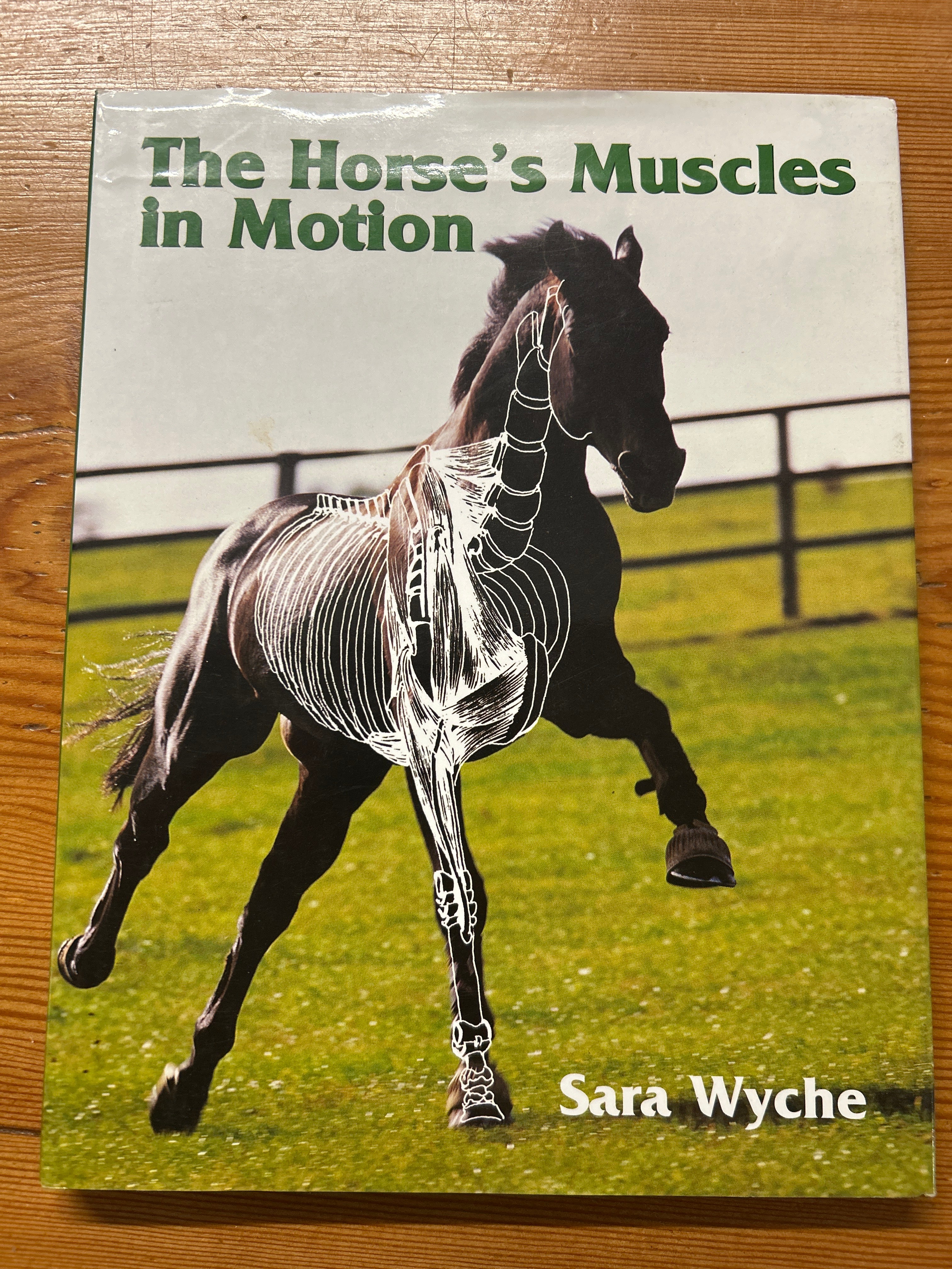 The Horse's Muscles in Motion by Sara Wyche