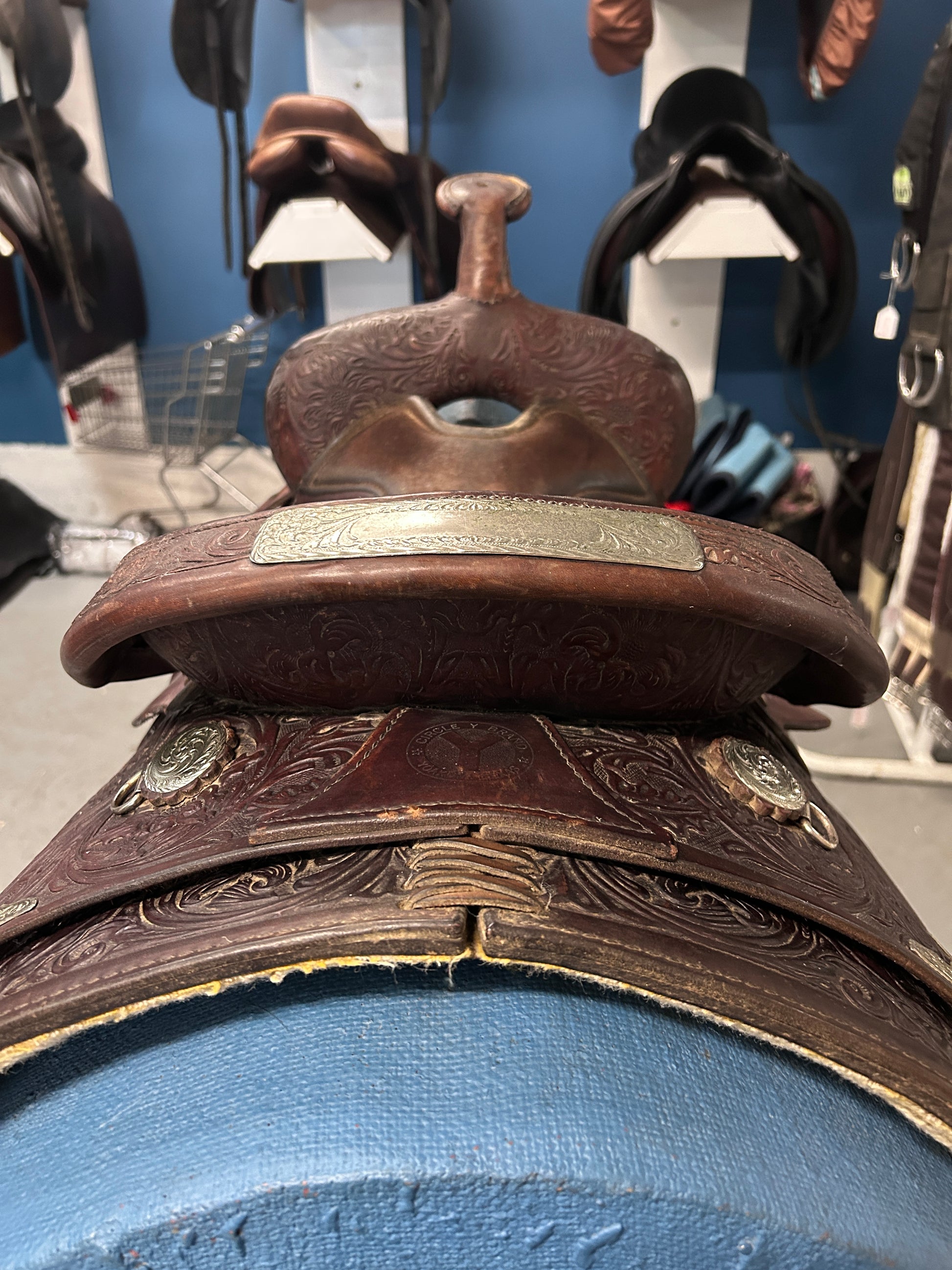 15" Circle Y Equitation Western Saddle-Saddle-Consignment-Evolution Equestrian Co.