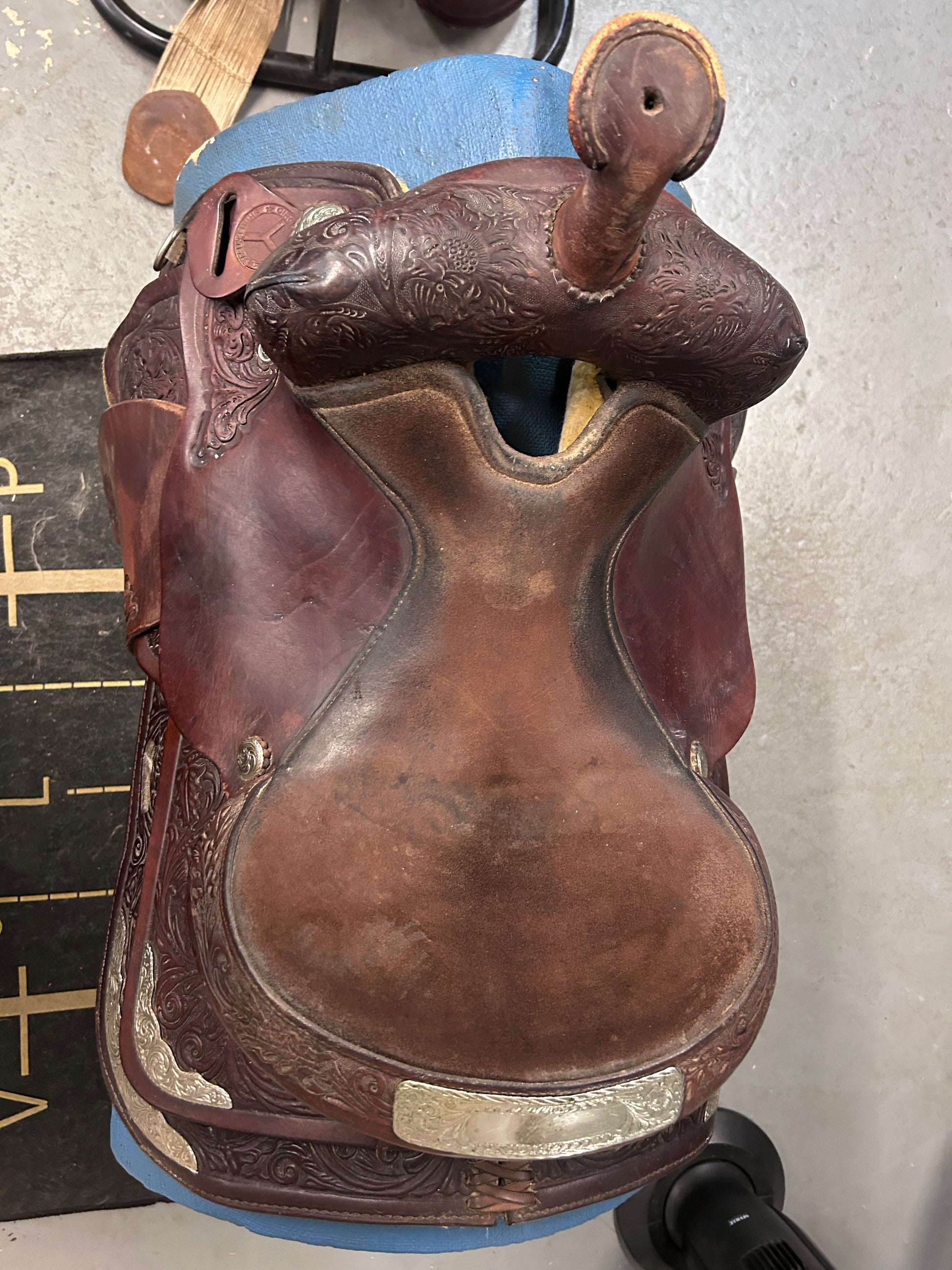 15" Circle Y Equitation Western Saddle-Saddle-Consignment-Evolution Equestrian Co.