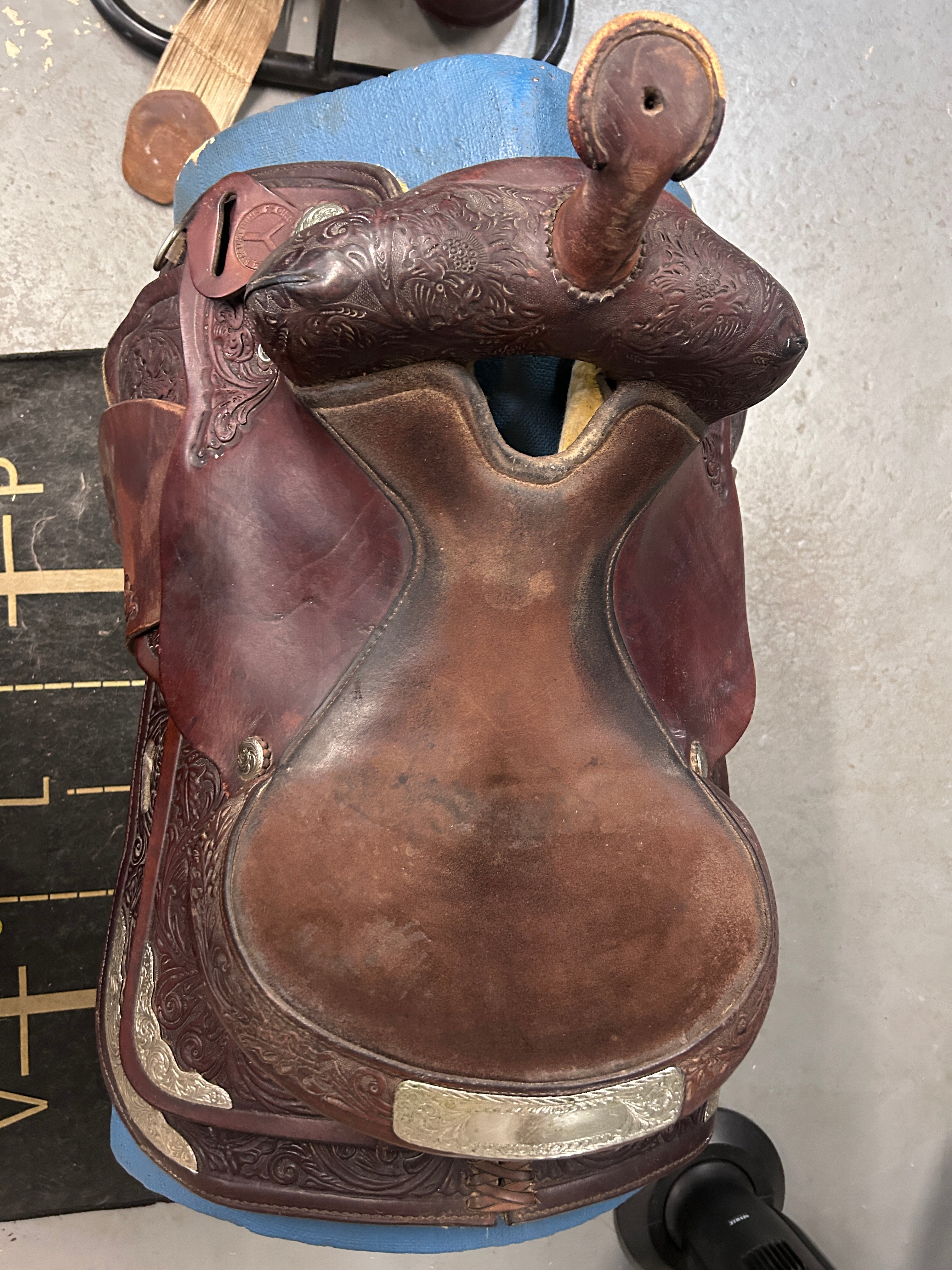 15" Circle Y Equitation Western Saddle-Saddle-Consignment-Evolution Equestrian Co.