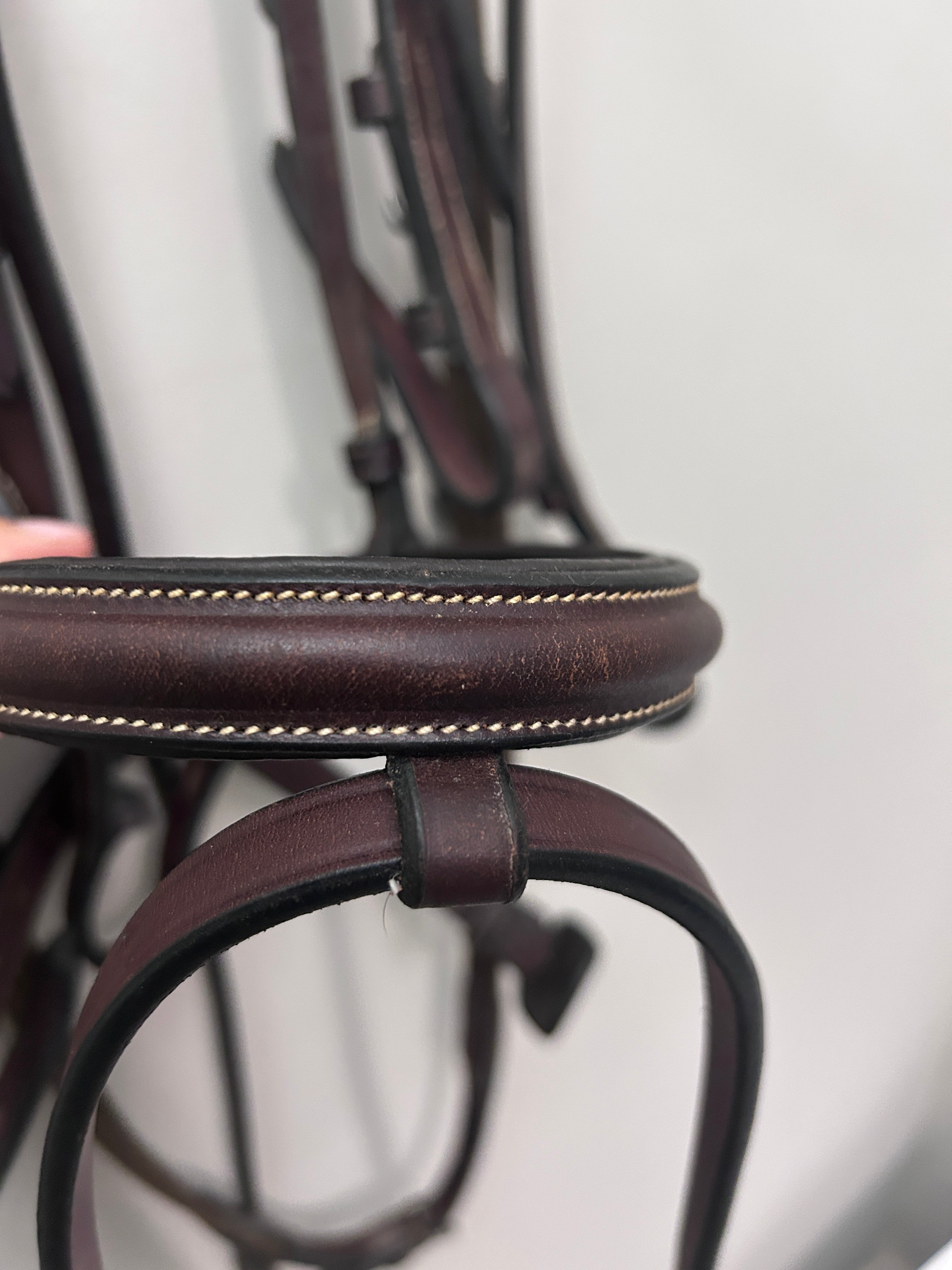 HDR English Bridle with Flash and Reins
