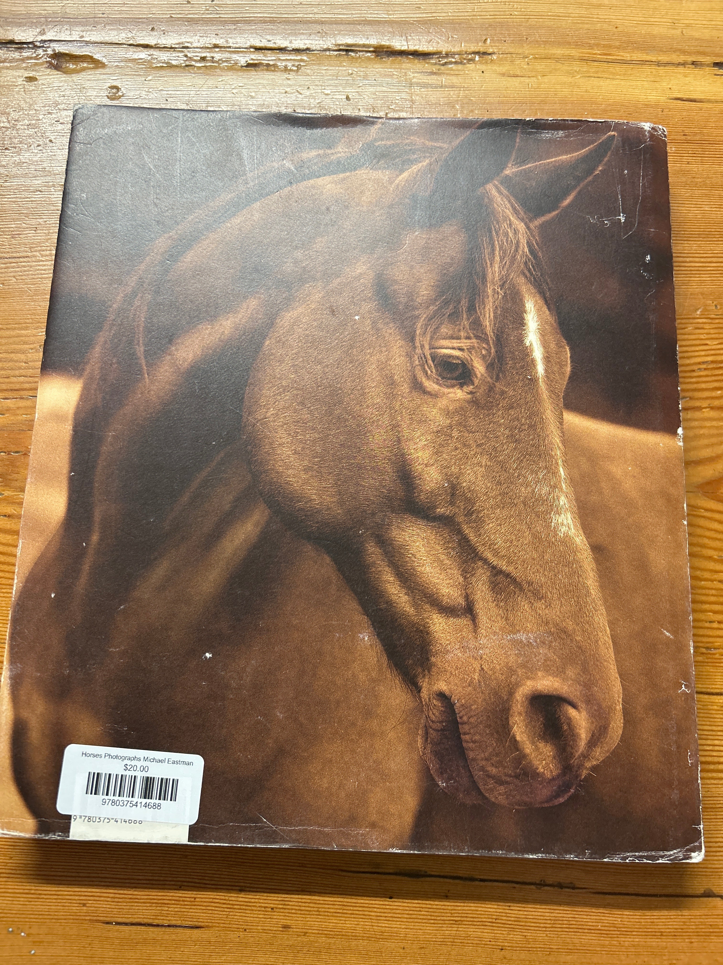 Horses Photographs Michael Eastman