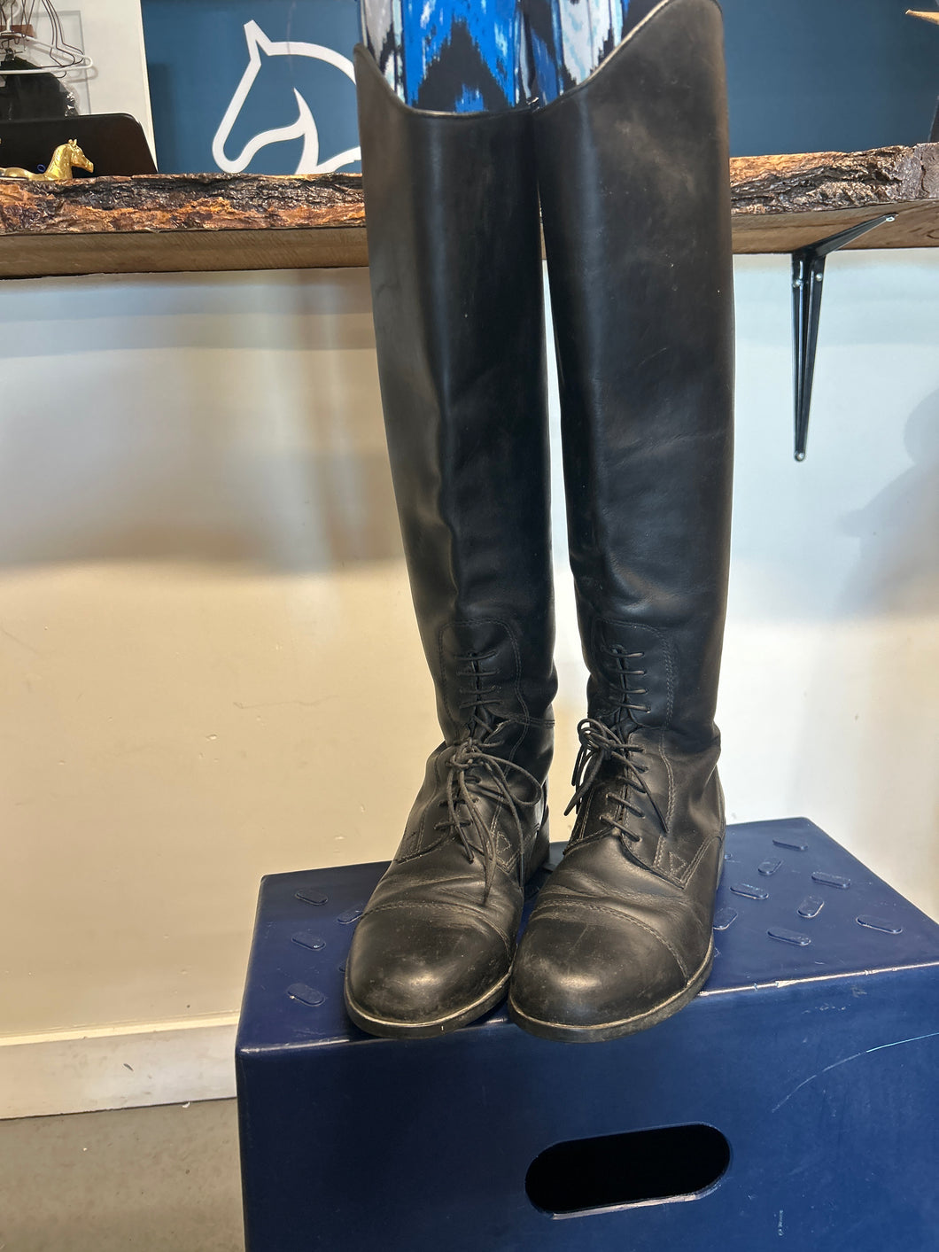 Ariat Field Boots 7