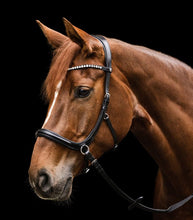 Load image into Gallery viewer, Waldhausen X-Line Bitless Bridle Sensation Black Cob
