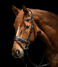 Load image into Gallery viewer, Waldhausen S-Line Snaffle Bridle Glamour Cob
