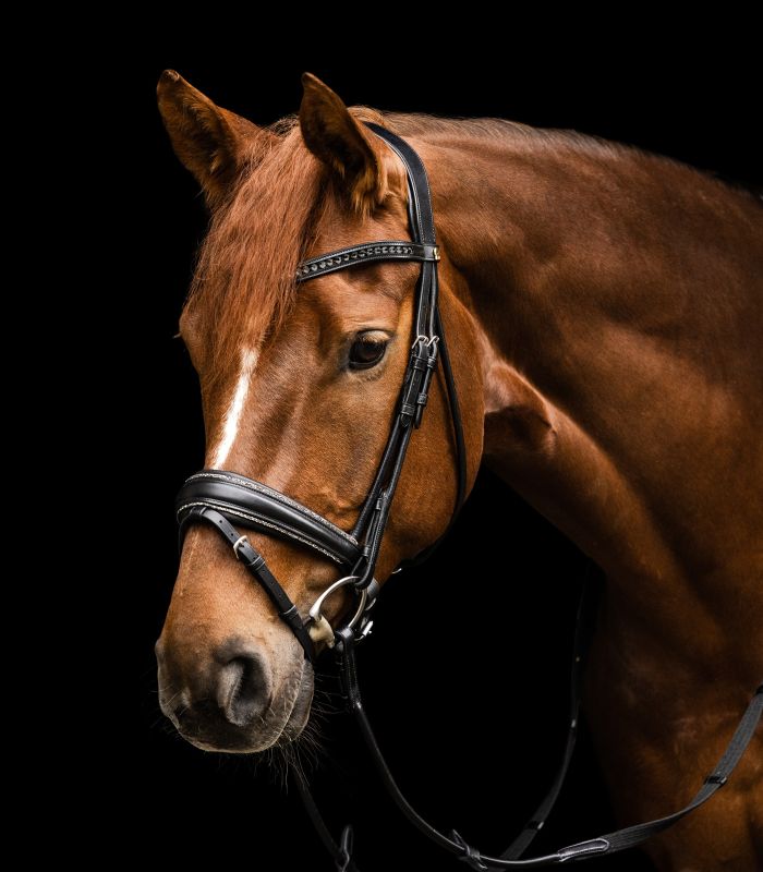 Waldhausen S-Line Snaffle Bridle Glamour Cob