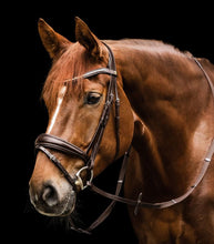 Load image into Gallery viewer, Waldhausen S-Line Essential Bridle Brown Cob
