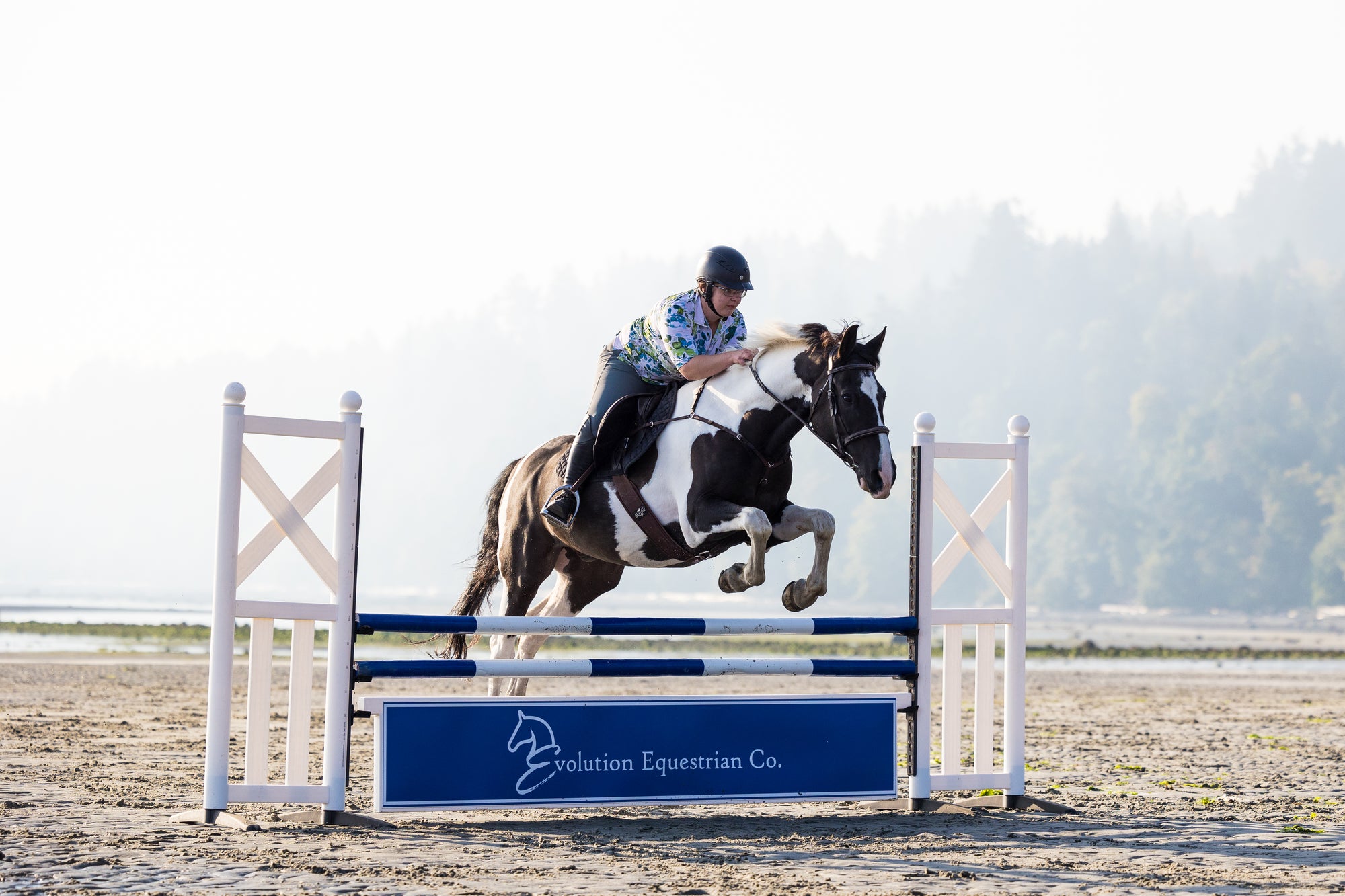 Evolution Equestrian Co.