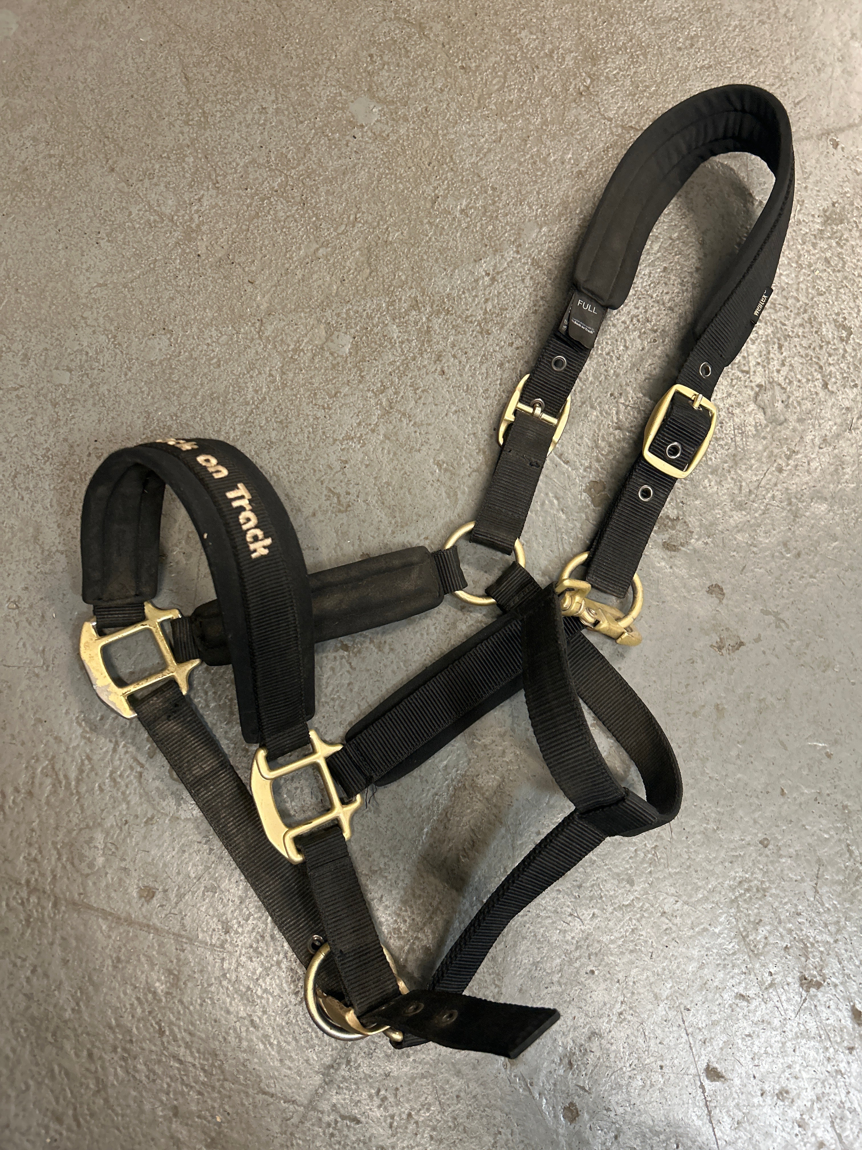 Back on Track Halter Full