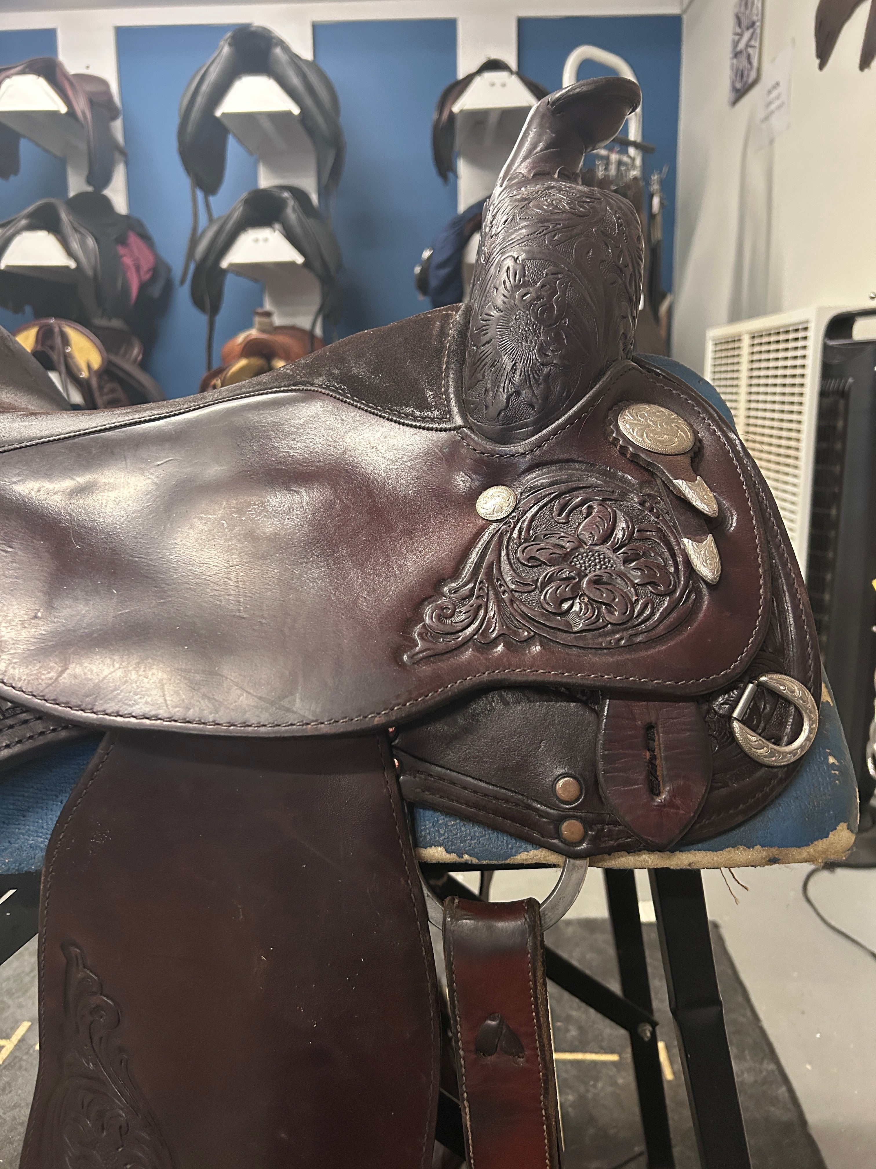16"Circle Y Equitation Western Saddle