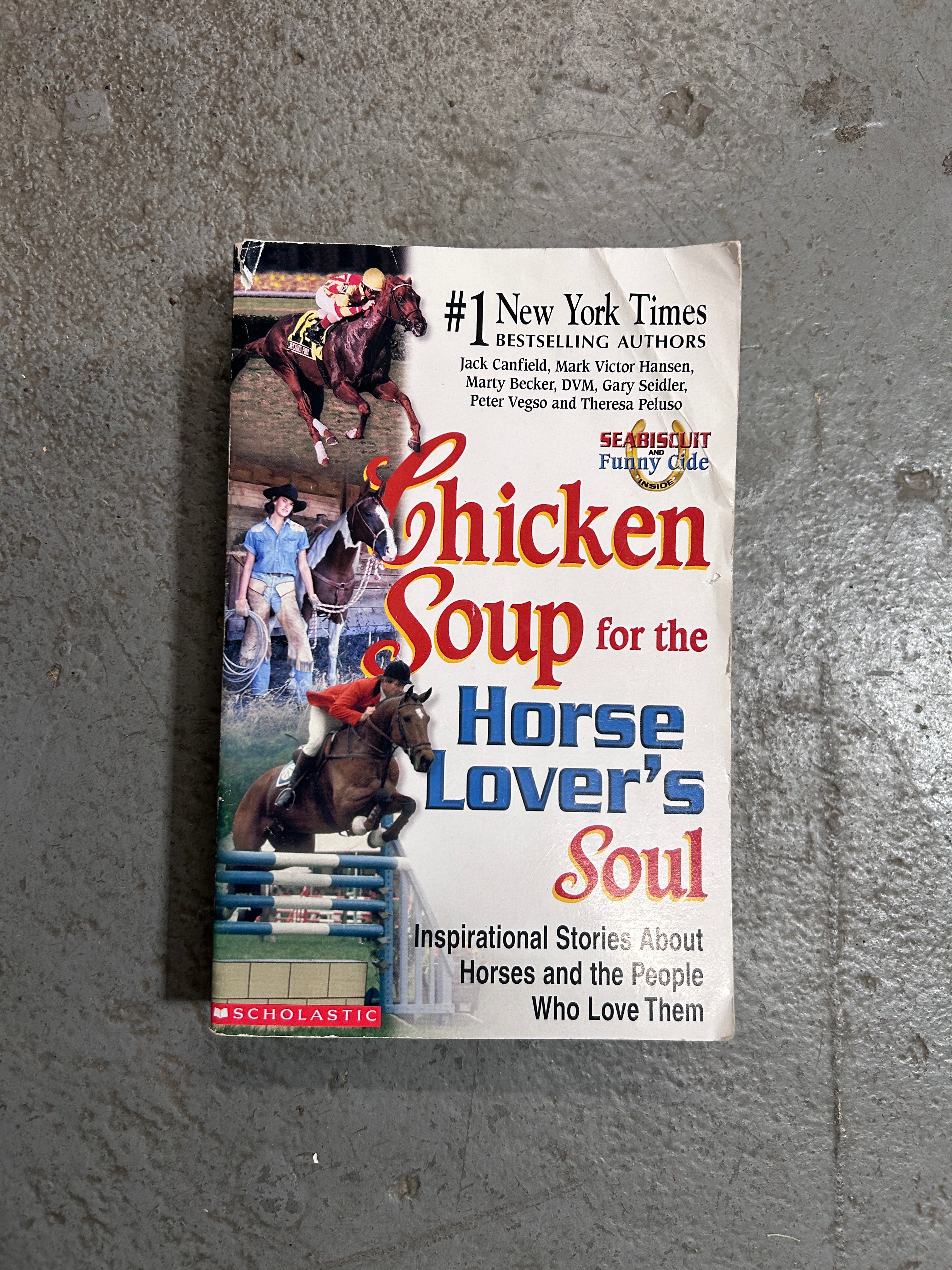 Chicken Soup for the Horse Lover's Soul
