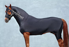 Load image into Gallery viewer, Horseware Rambo Full Body Slinky
