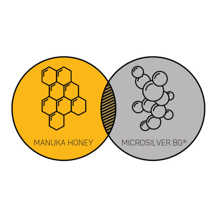 Absorbine Silver Honey Hygienic Shampoo-Pet Shampoo & Conditioner-Canadian Centurion Supply-Evolution Equestrian Co.