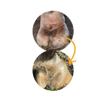 Load image into Gallery viewer, Absorbine Silver Honey  Mud Defense Spray
