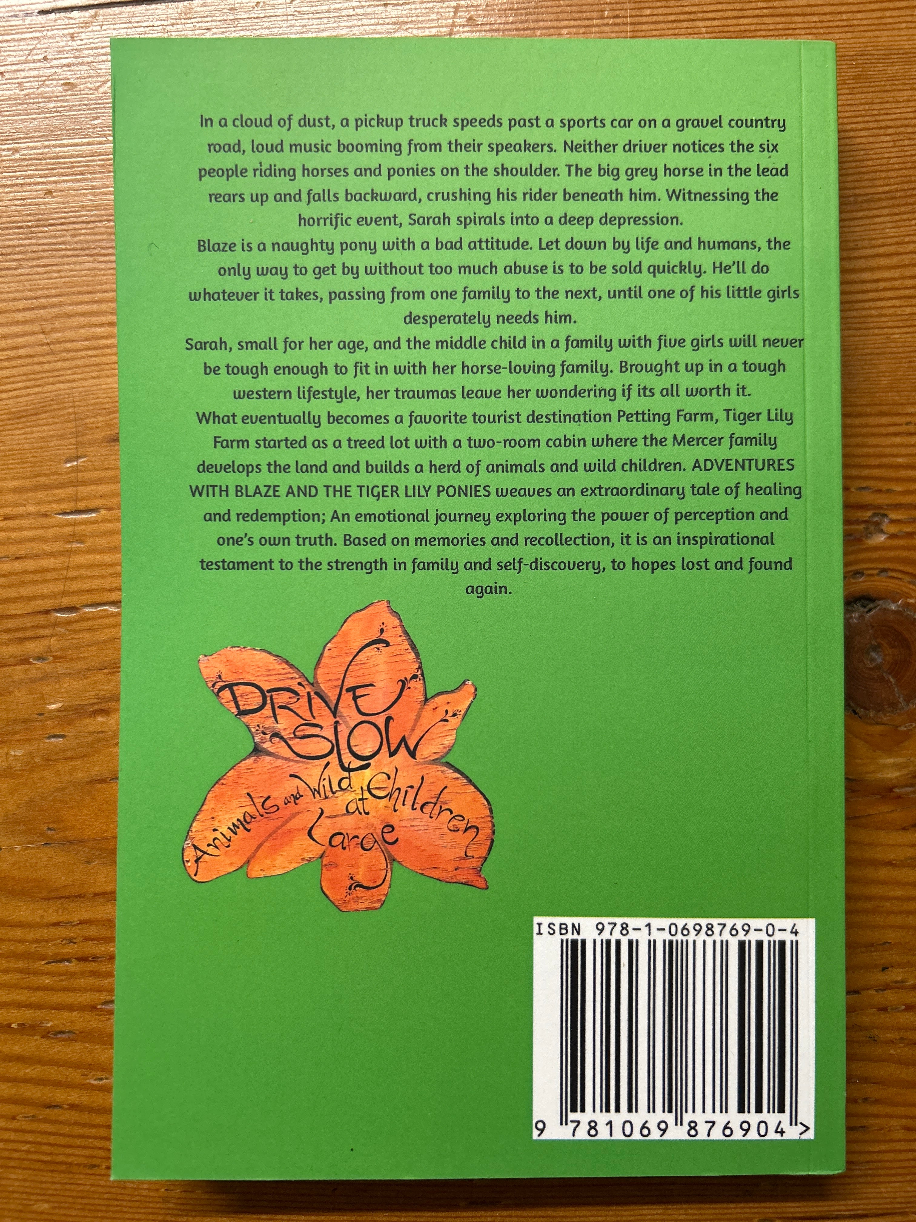 Adventures With Blaze And The Tiger Lily Ponies by Jackie Mercer-Book-Evolution Equestrian Co.-Evolution Equestrian Co.