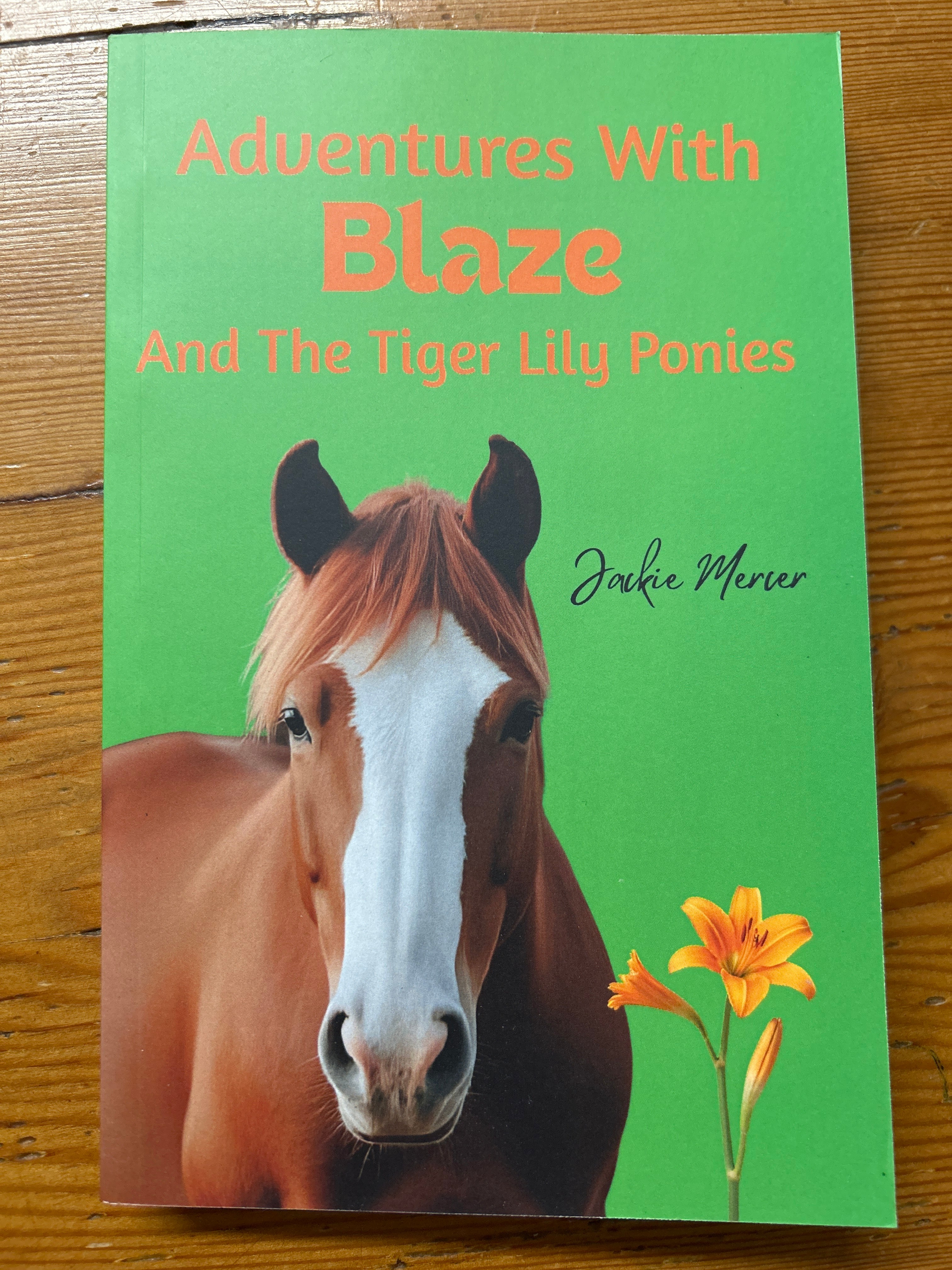 Adventures With Blaze And The Tiger Lily Ponies by Jackie Mercer-Book-Evolution Equestrian Co.-Evolution Equestrian Co.
