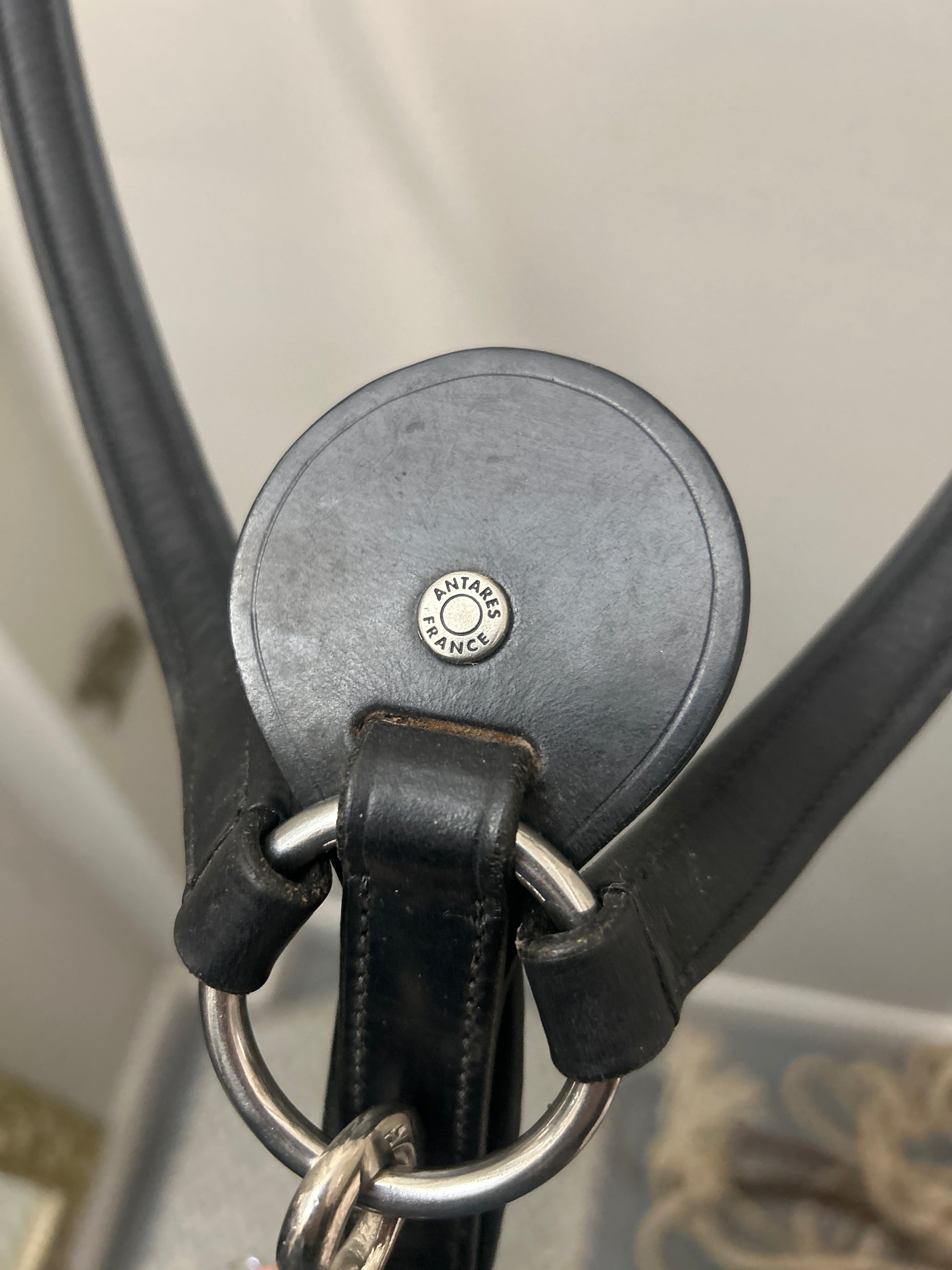 Antares Black Breastplate with Running Martingale-English Accessories-Consignment-Evolution Equestrian Co.