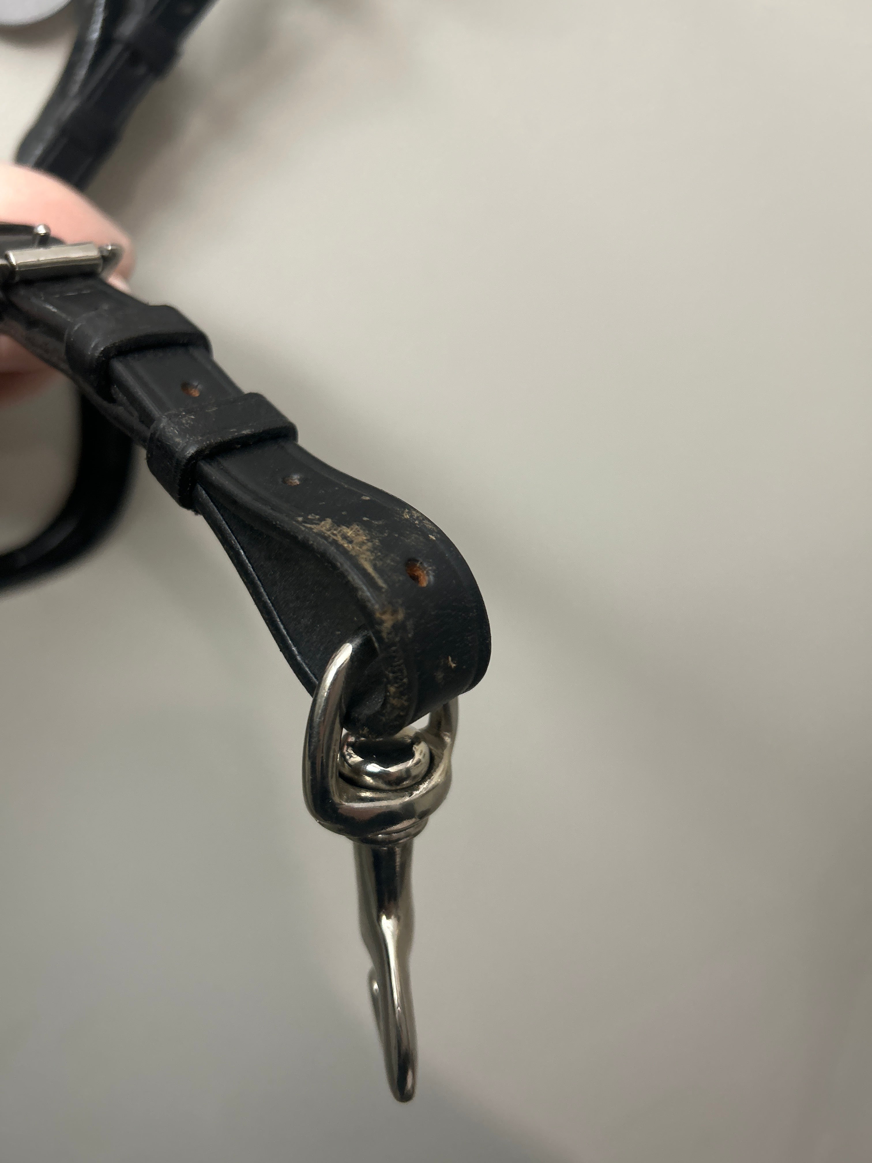 Antares Black Breastplate with Running Martingale-English Accessories-Consignment-Evolution Equestrian Co.