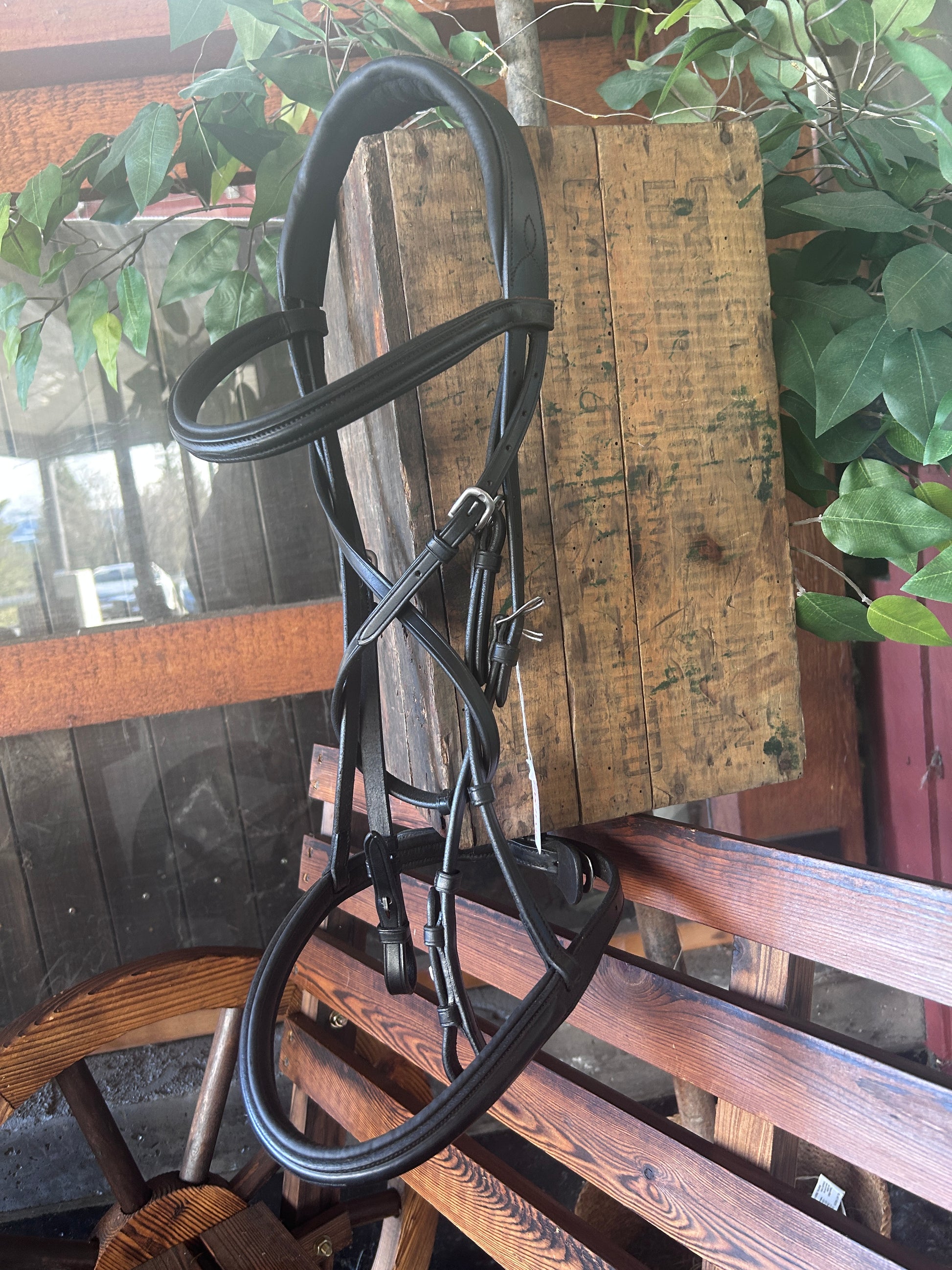 Antares Black Snaffle Bridle with Reins-Bridle-Consignment-Evolution Equestrian Co.