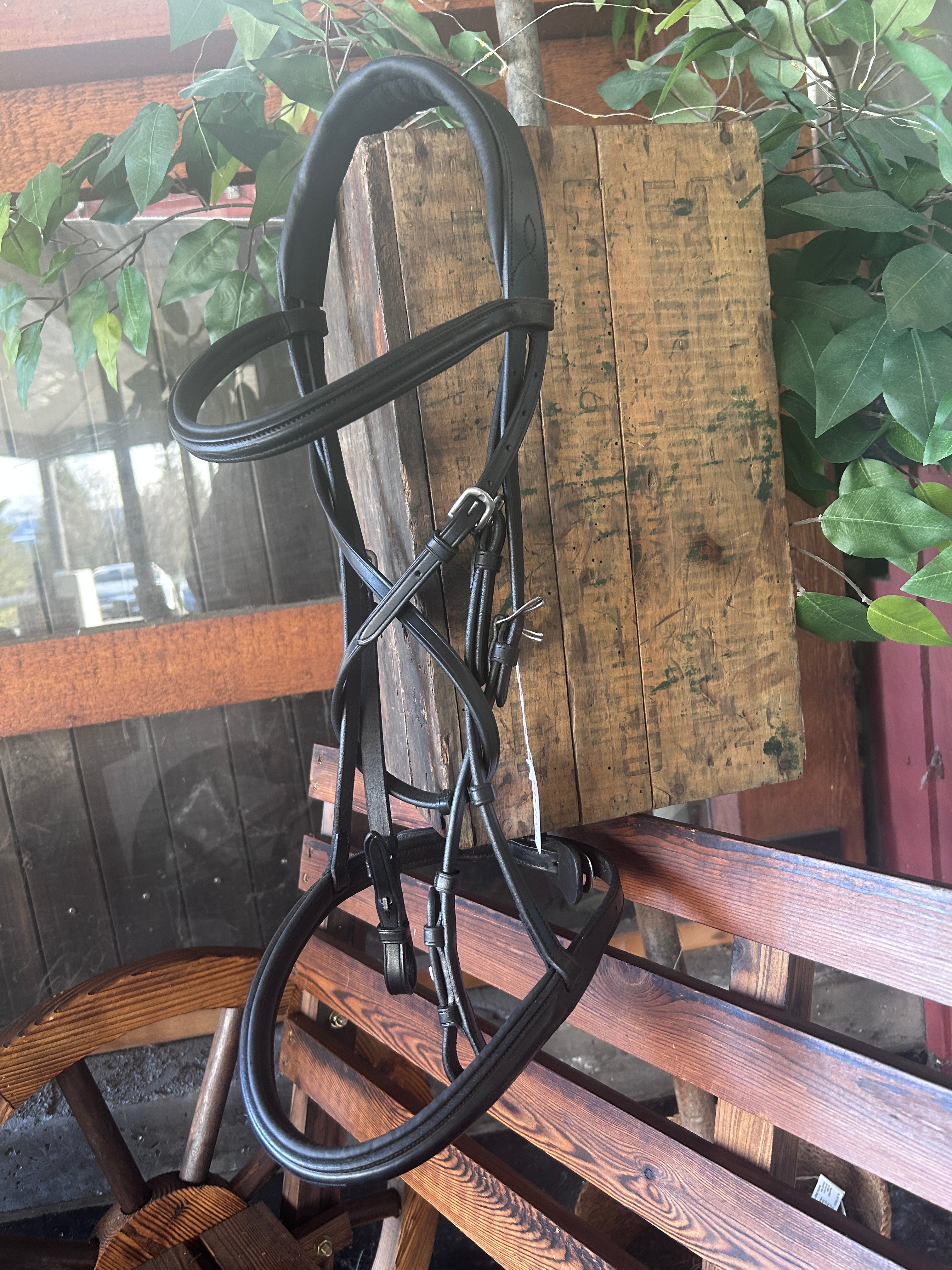 Antares Black Snaffle Bridle with Reins-Bridle-Consignment-Evolution Equestrian Co.