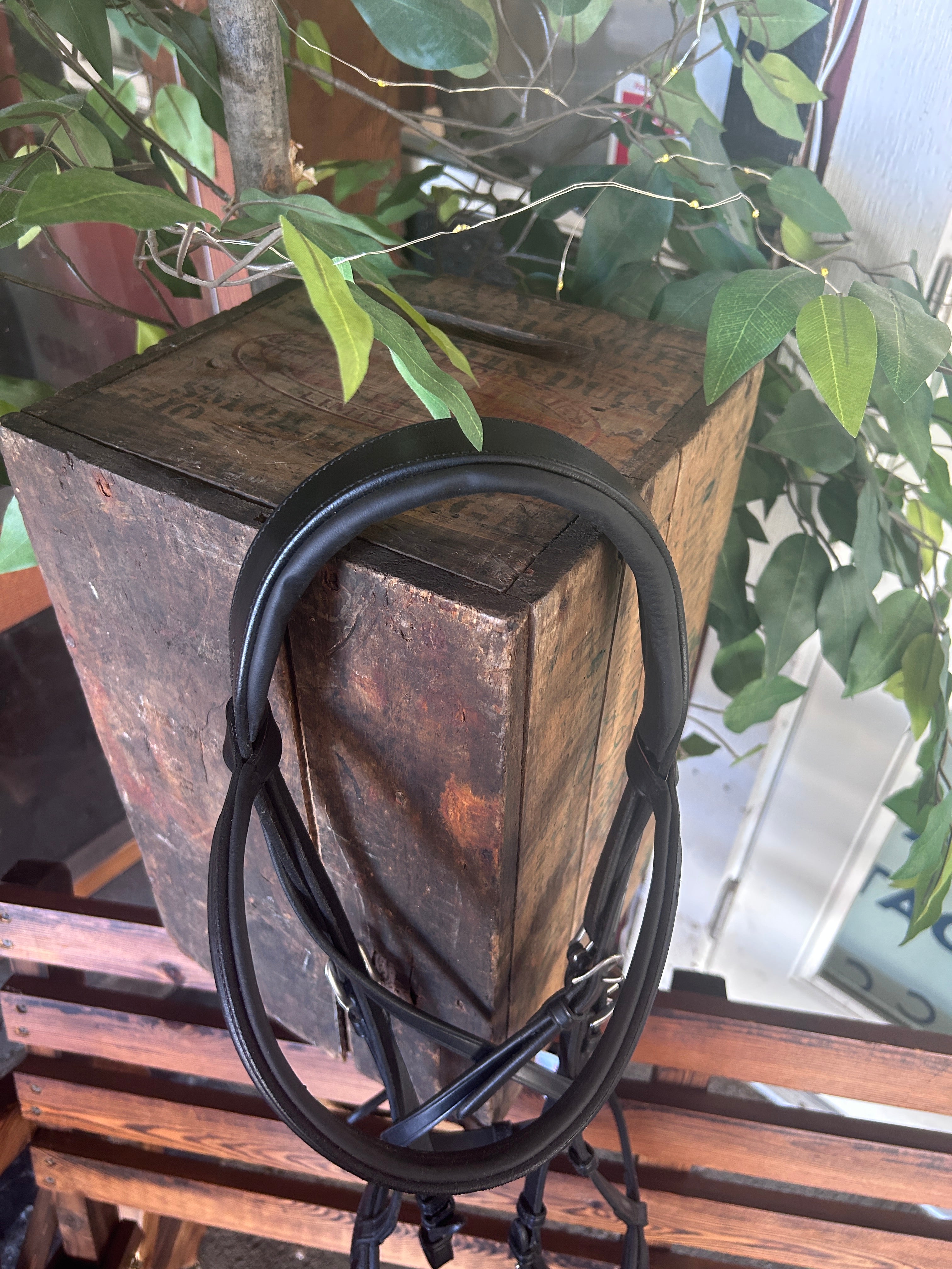 Antares Black Snaffle Bridle with Reins-Bridle-Consignment-Evolution Equestrian Co.