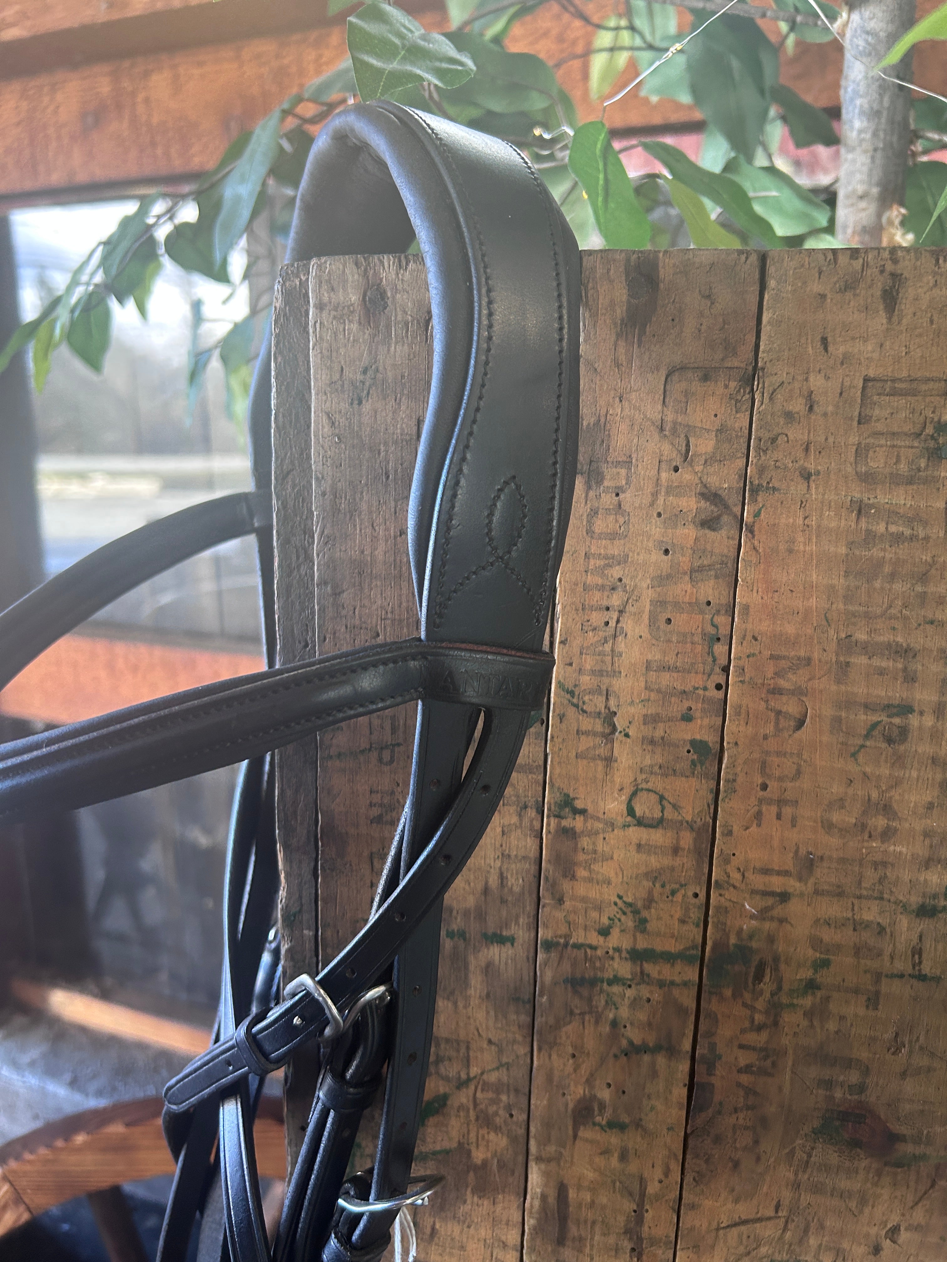 Antares Black Snaffle Bridle with Reins-Bridle-Consignment-Evolution Equestrian Co.