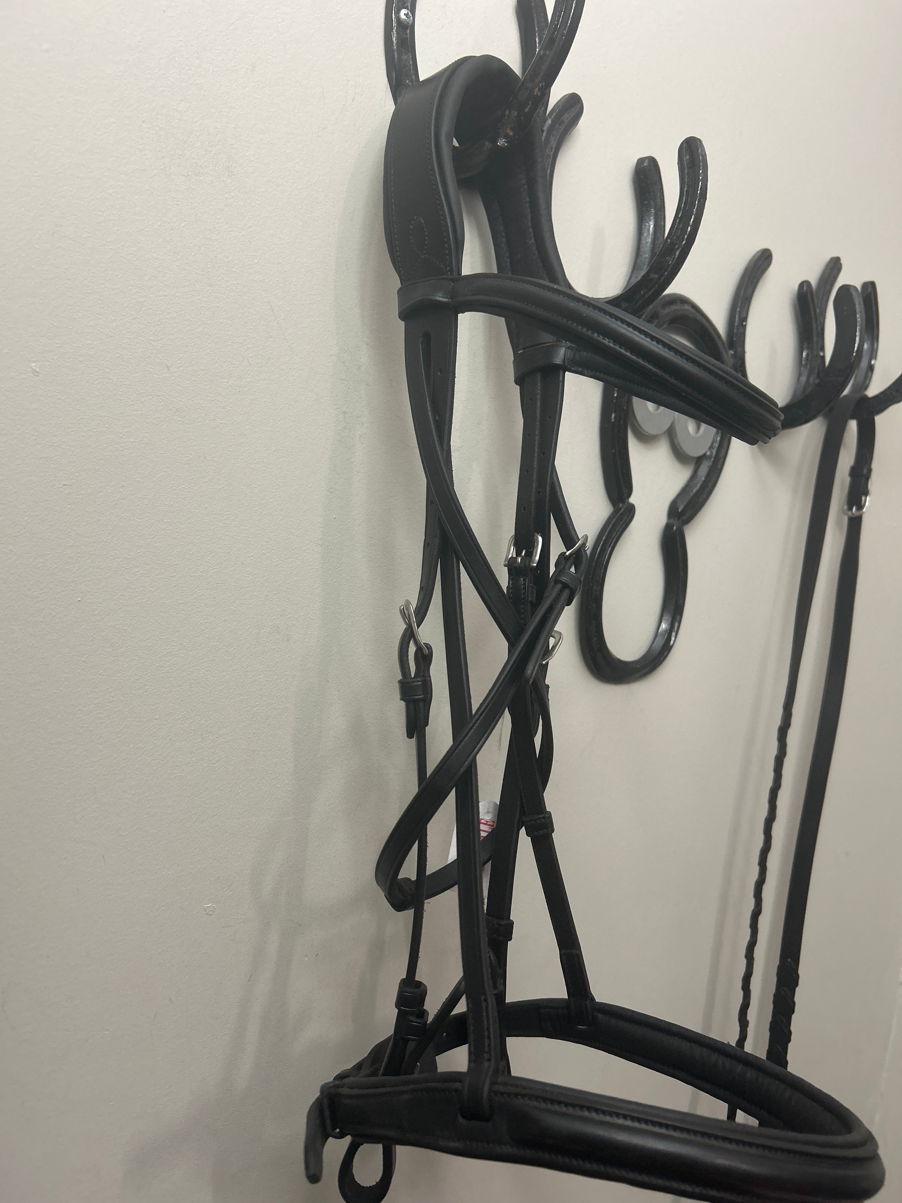 Antares Black Snaffle Bridle with Reins-Bridle-Consignment-Evolution Equestrian Co.