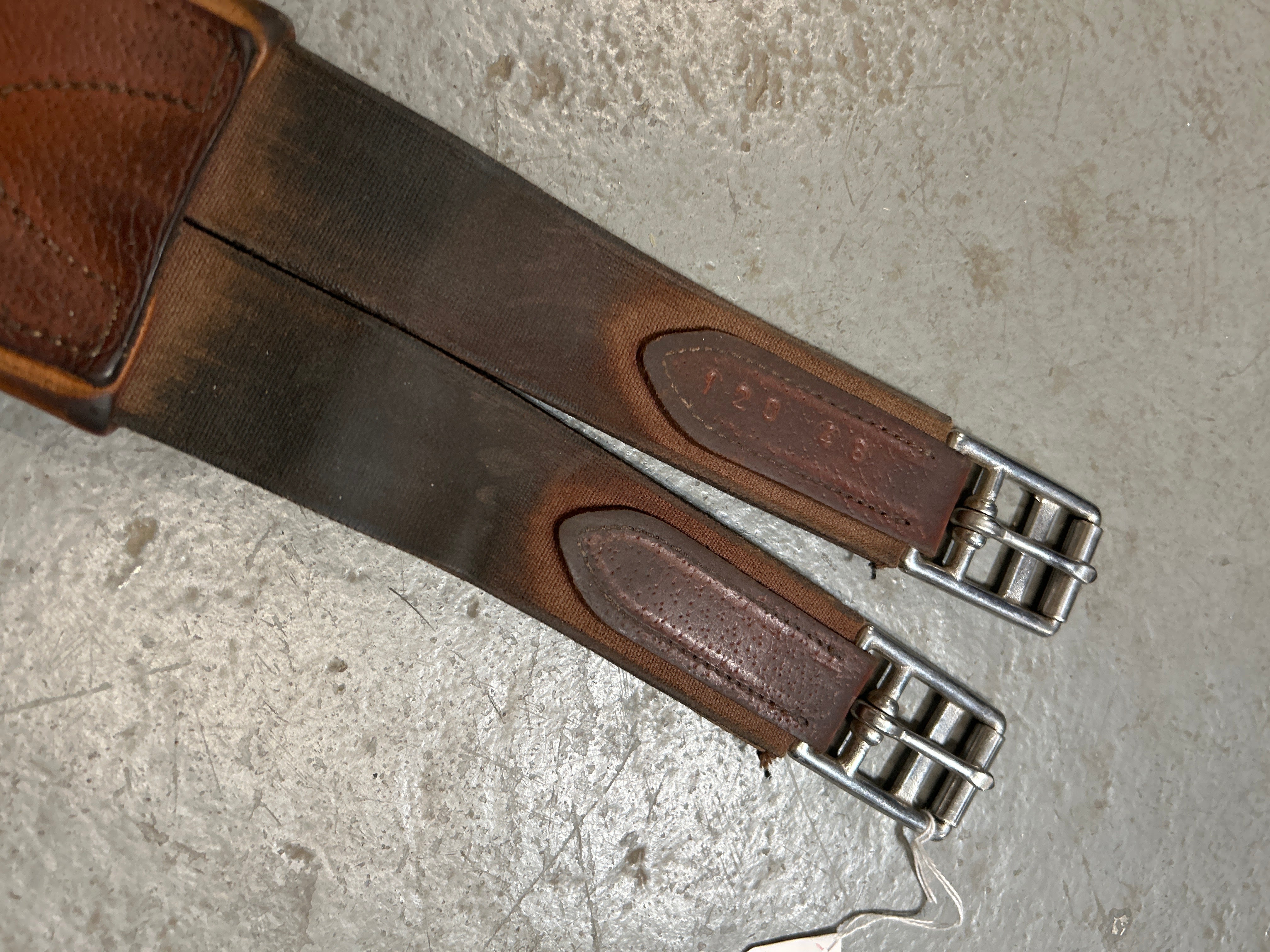 Antares Sellier Leather Girth 48"-English Girth-Consignment-Evolution Equestrian Co.