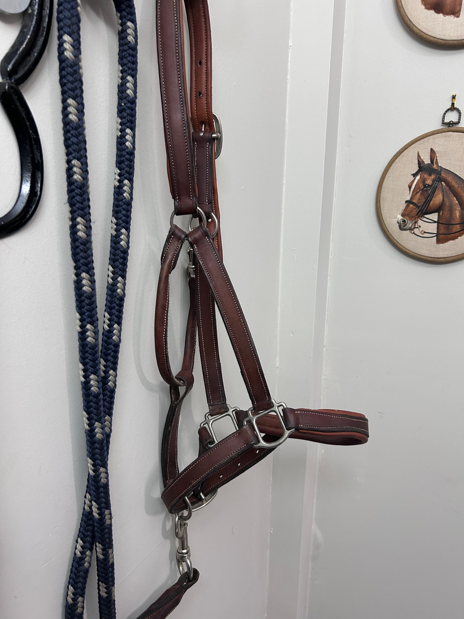 Antares Warmblood Halter with Lead-Halter-Consignment-Evolution Equestrian Co.