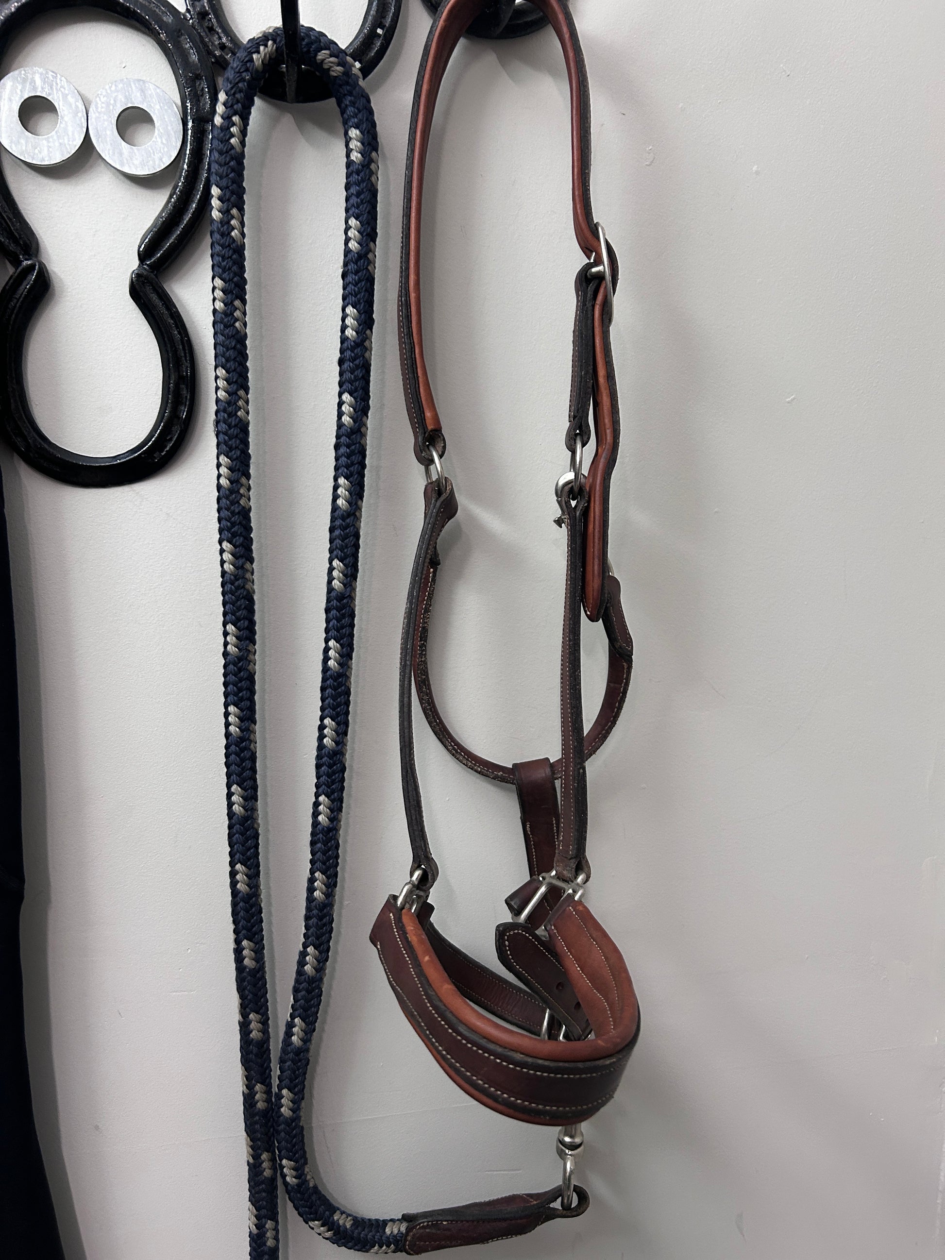 Antares Warmblood Halter with Lead-Halter-Consignment-Evolution Equestrian Co.