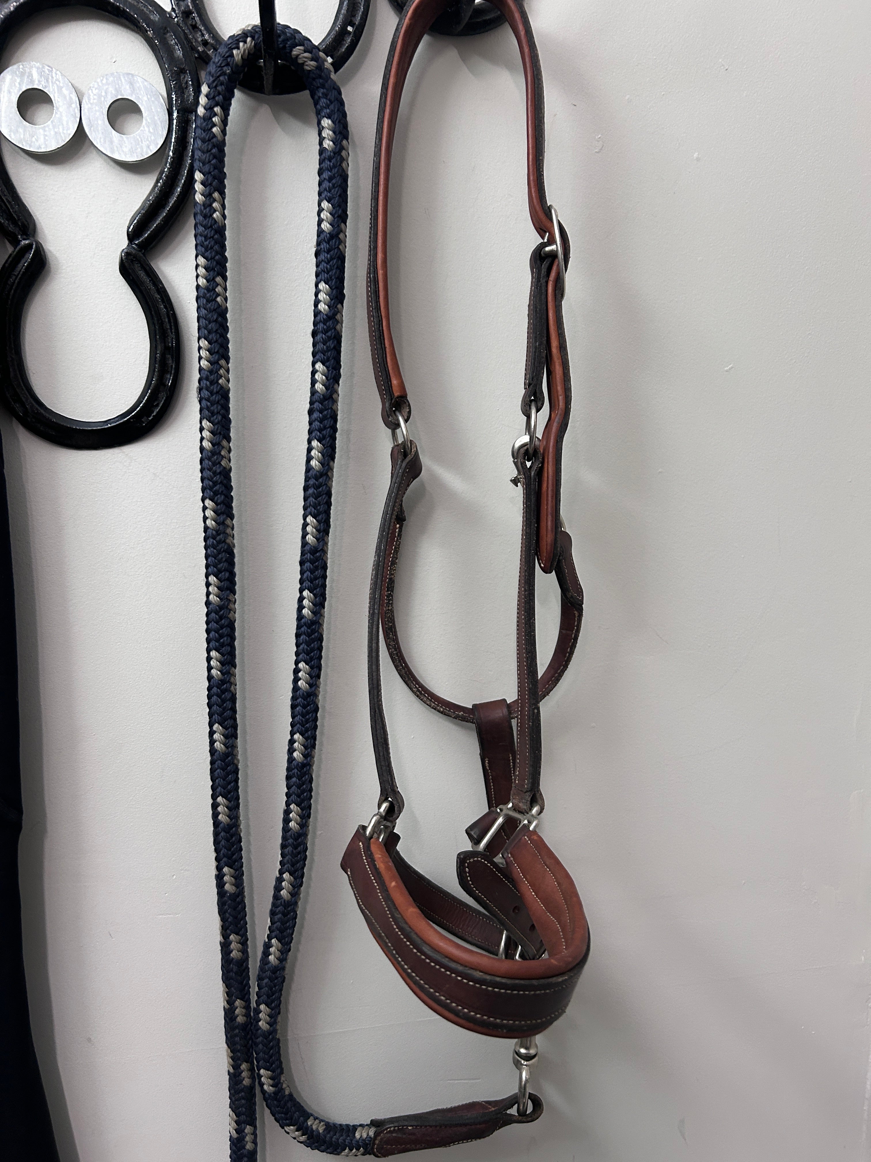 Antares Warmblood Halter with Lead-Halter-Consignment-Evolution Equestrian Co.