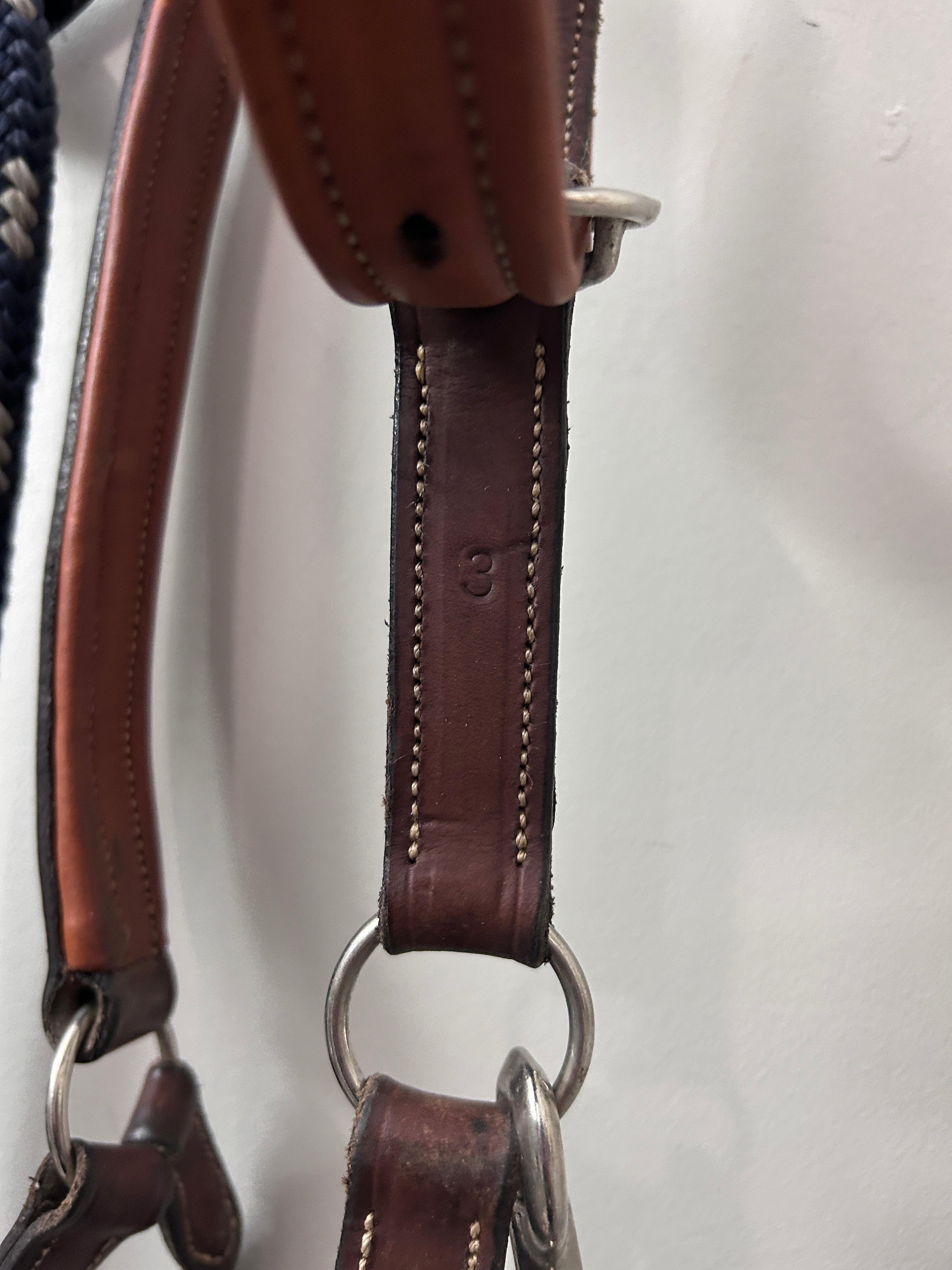 Antares Warmblood Halter with Lead-Halter-Consignment-Evolution Equestrian Co.
