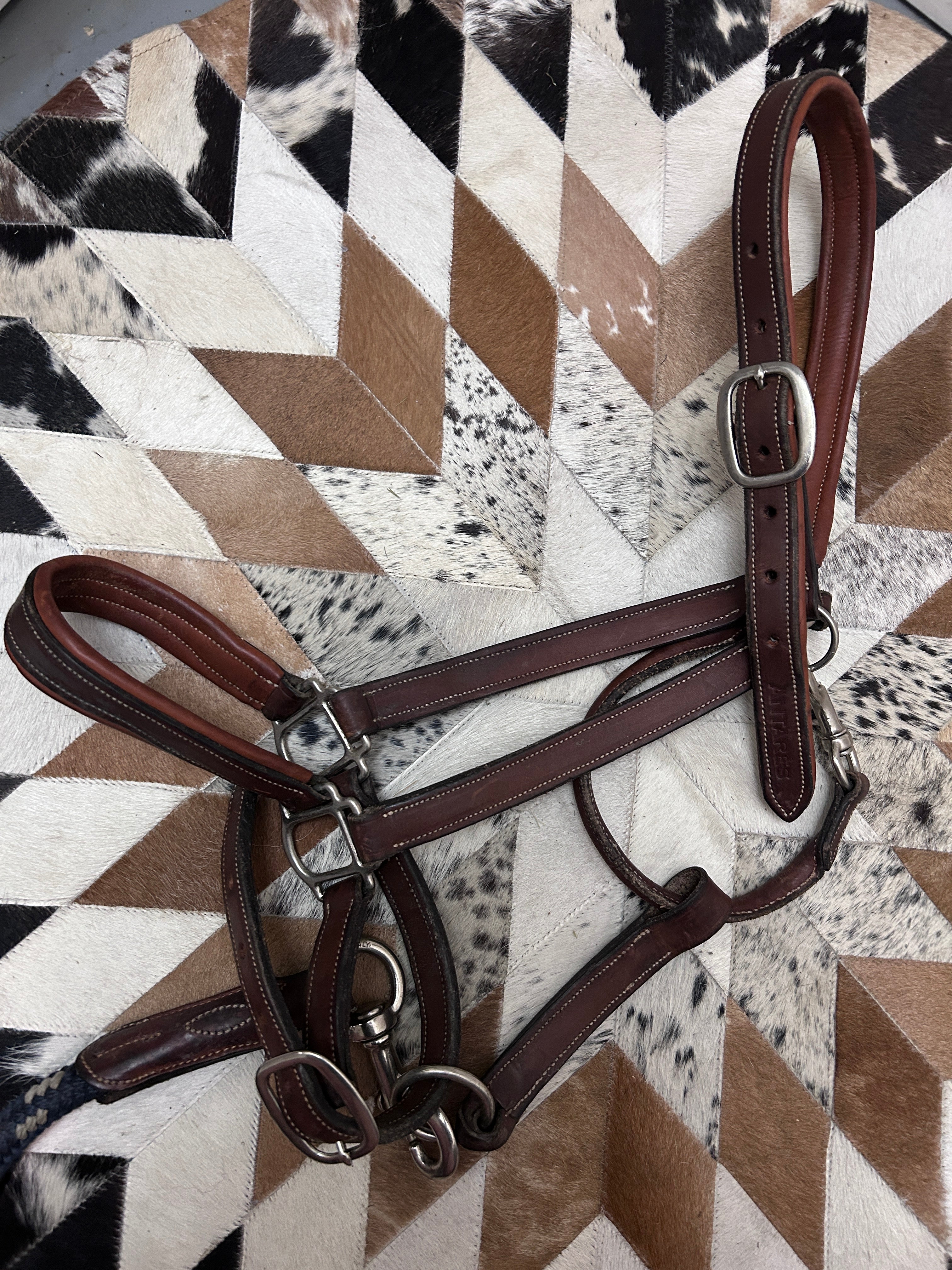 Antares Warmblood Halter with Lead-Halter-Consignment-Evolution Equestrian Co.