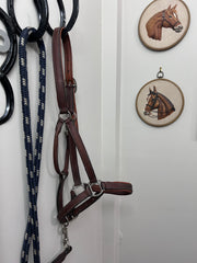 Antares Warmblood Halter with Lead-Halter-Consignment-Evolution Equestrian Co.