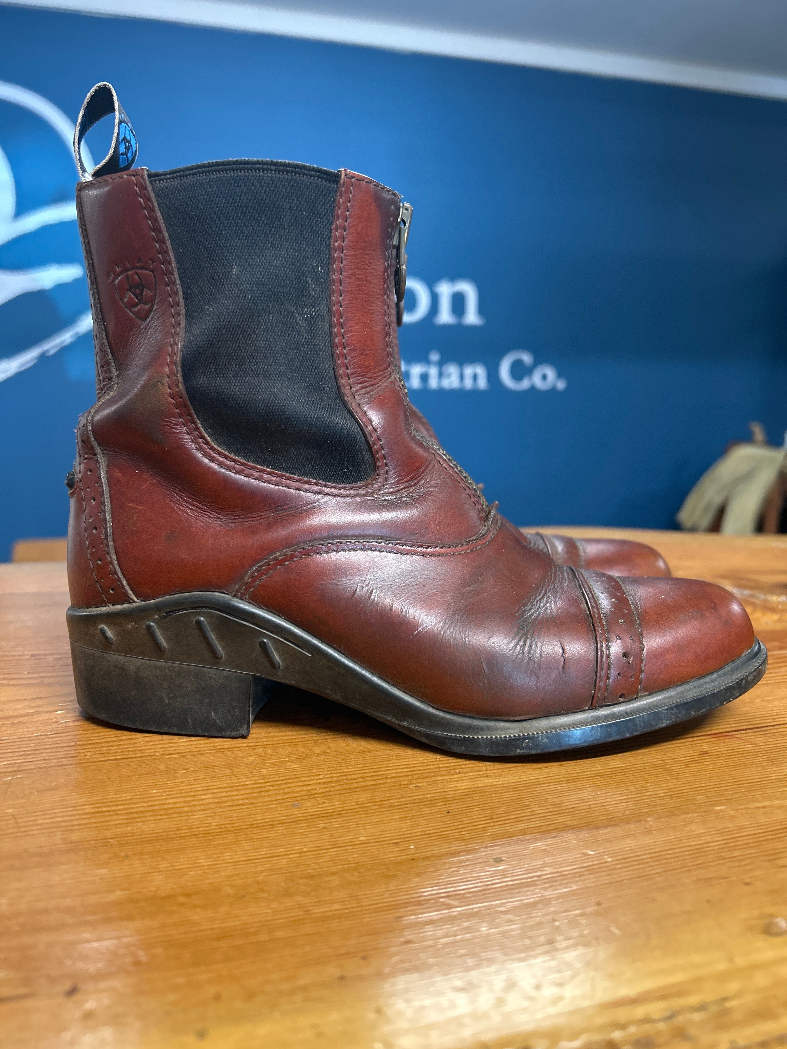 Ariat Brown Paddock Boots & Half Chaps-Riding Boots-Consignment-Evolution Equestrian Co.